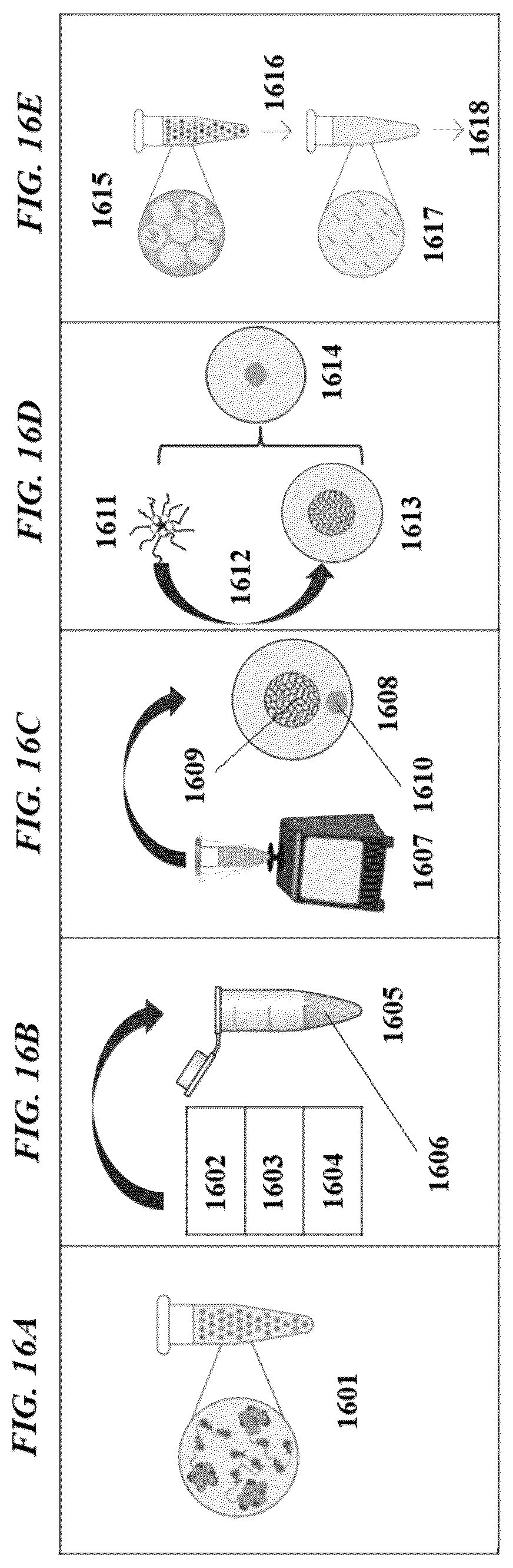 Patent US12612714 Figure 17 – Systems and methods for transfer of reagents between droplets