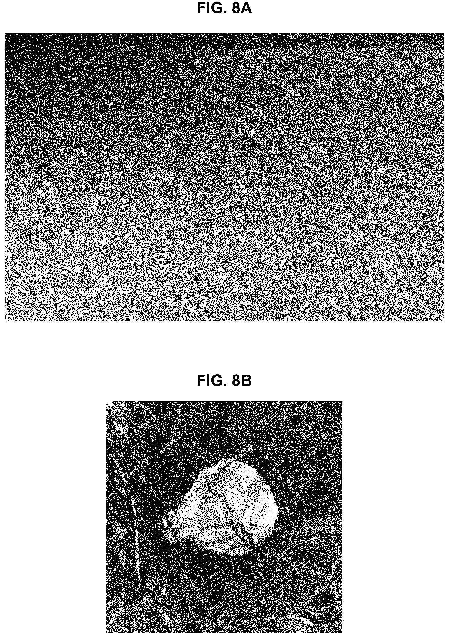Patent US12612719 Figure 7 – Pile knit fabric for interior materials of vehicles, method of manufacturing the same and manufacturing machine of pile knit fabric