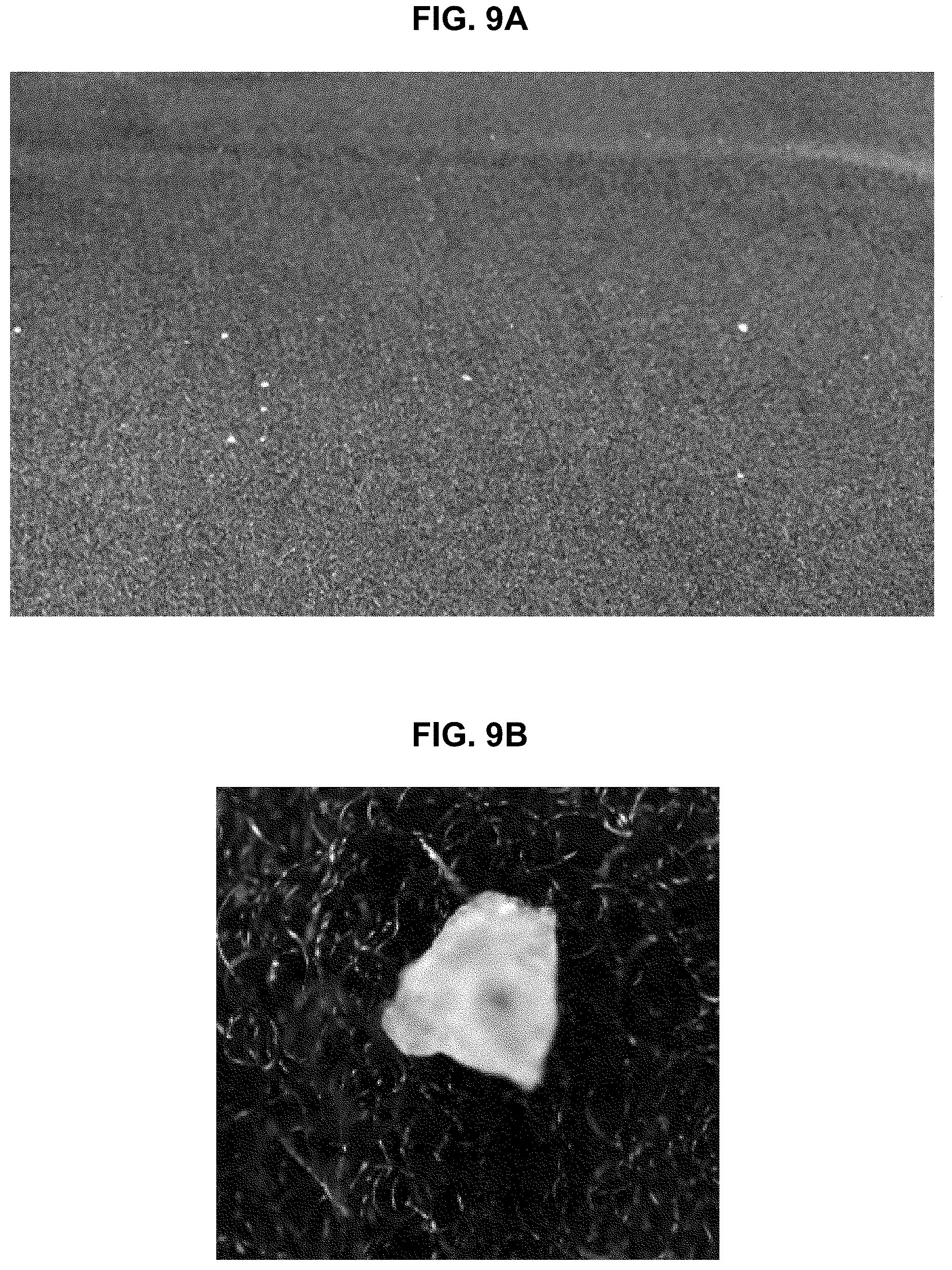 Patent US12612719 Figure 8 – Pile knit fabric for interior materials of vehicles, method of manufacturing the same and manufacturing machine of pile knit fabric