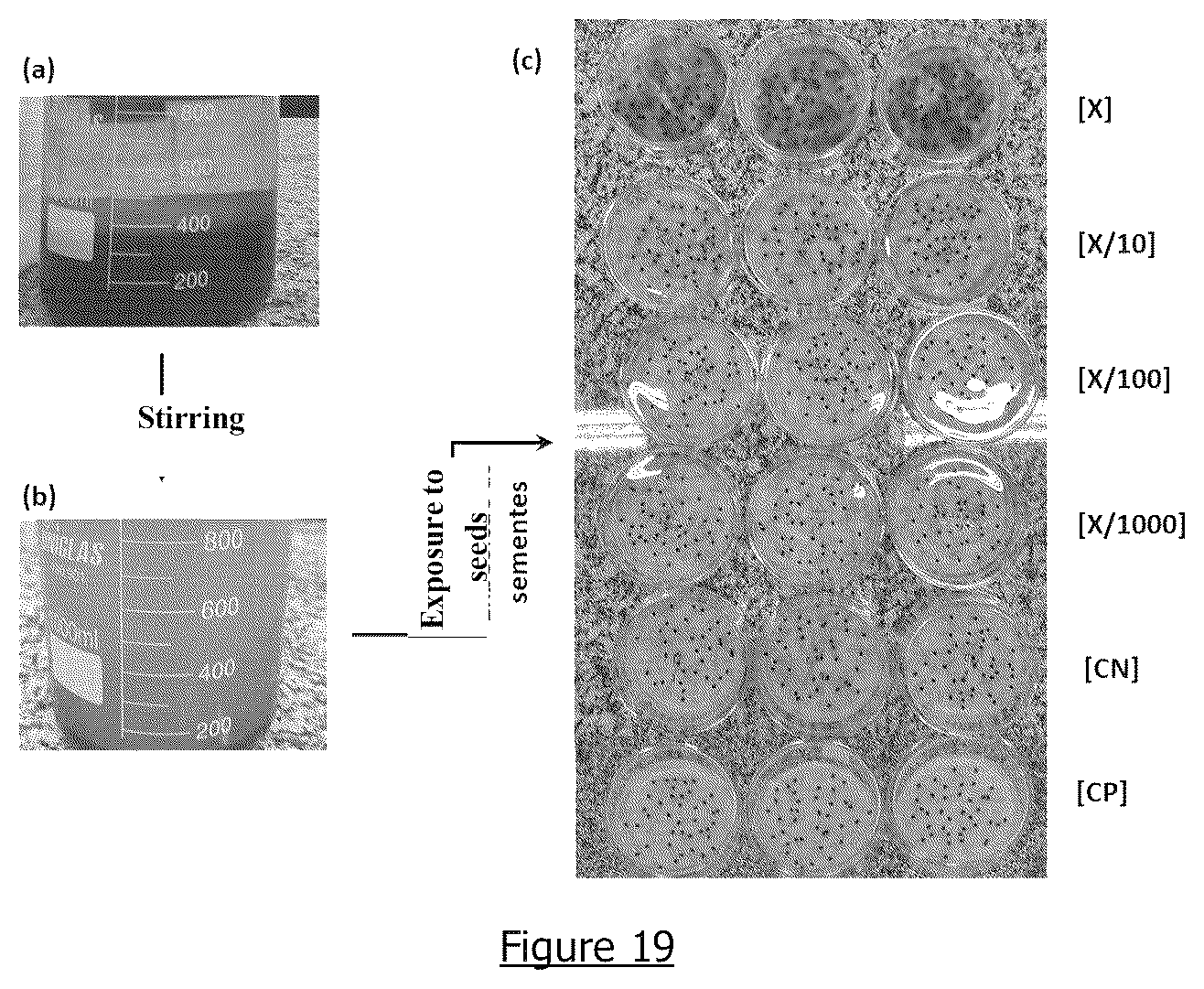 Patent US12612886 Figure 15 – Hydrogen generation device for optimising combustion and reducing the emission of pollutants in diesel cycle engines and method of use
