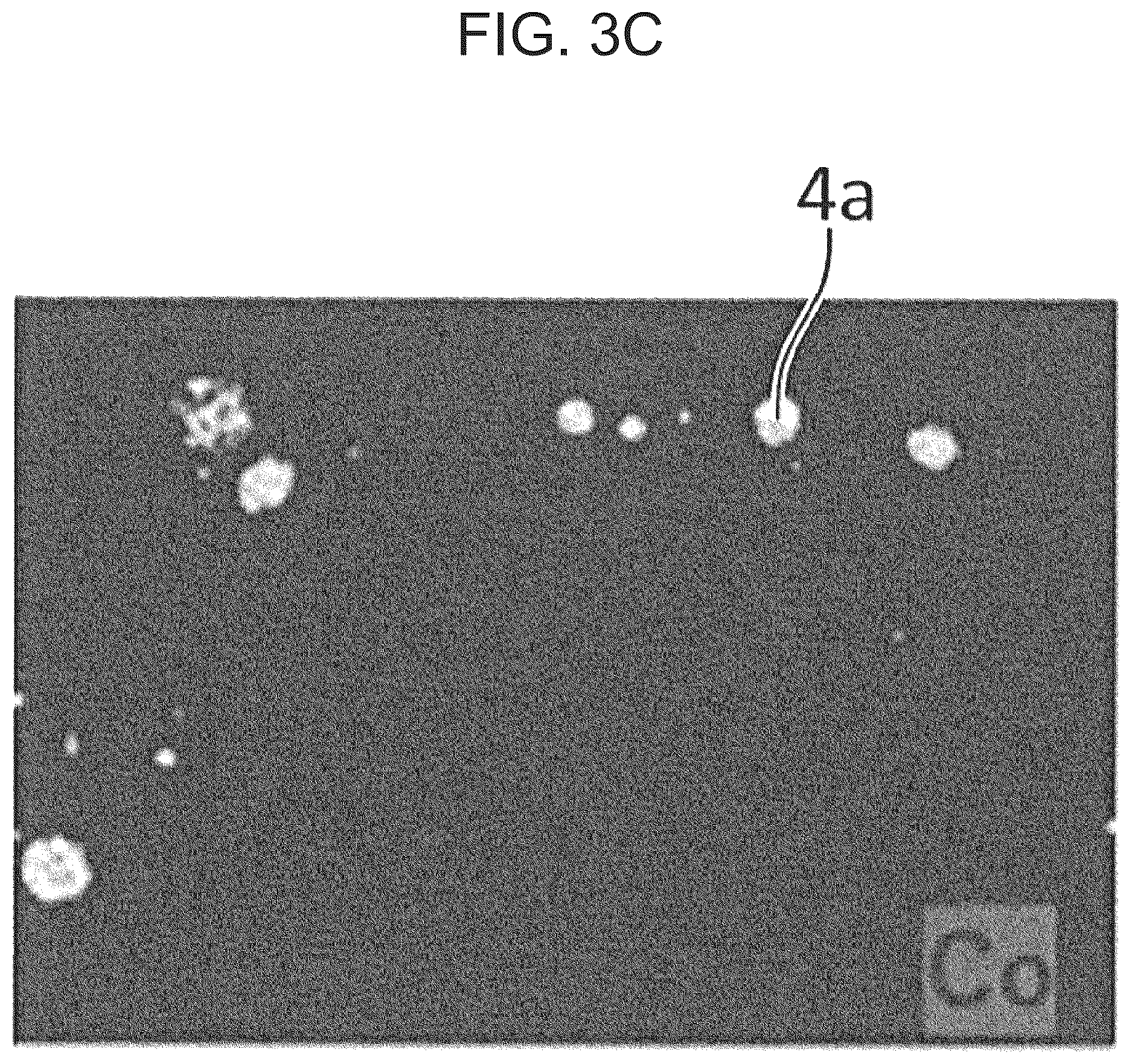 Patent US12612944 Figure 8 – Sliding member and bearing