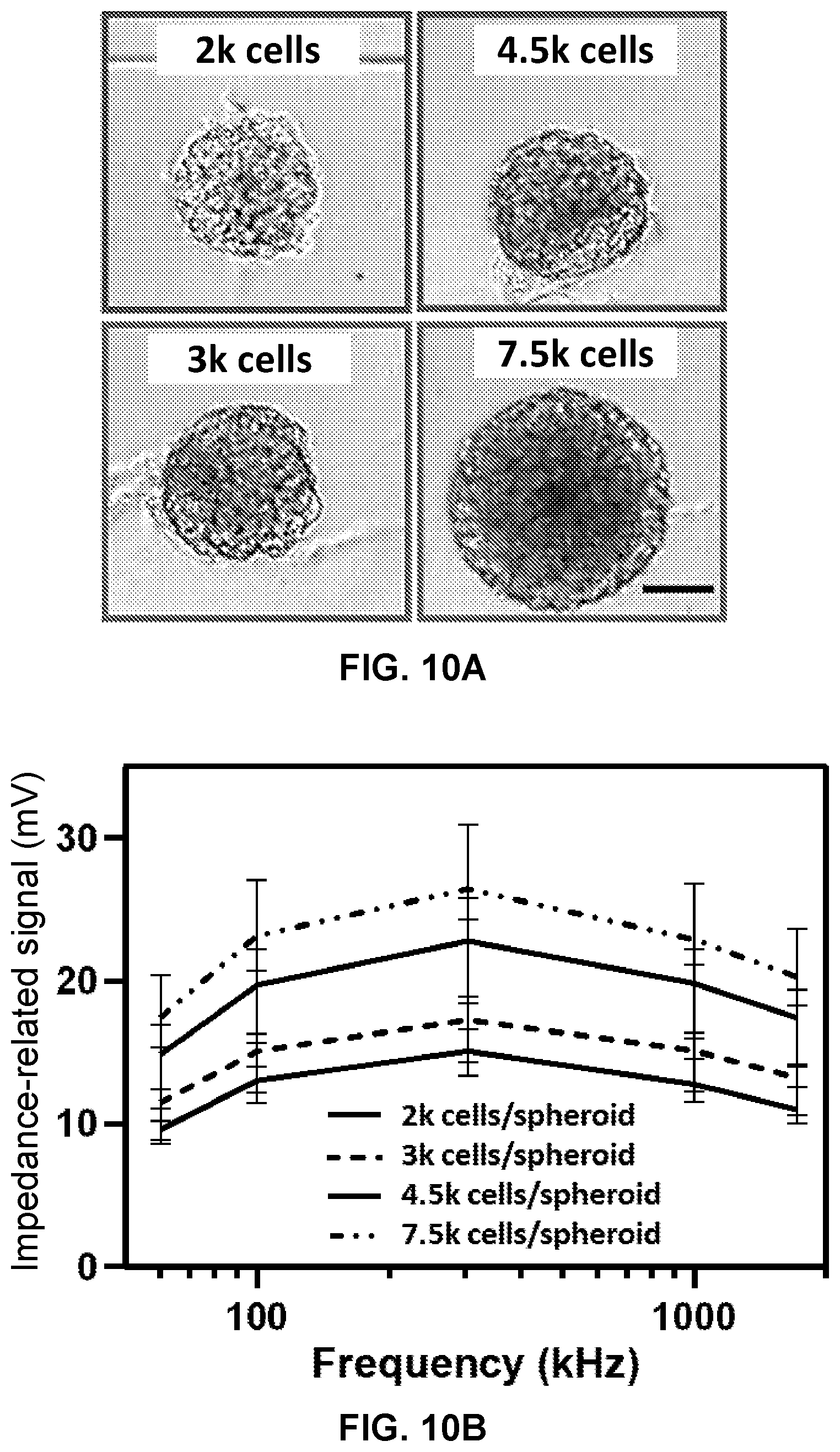 Patent US12613179 Figure 8 – Label-free electrical monitoring of cell aggregates