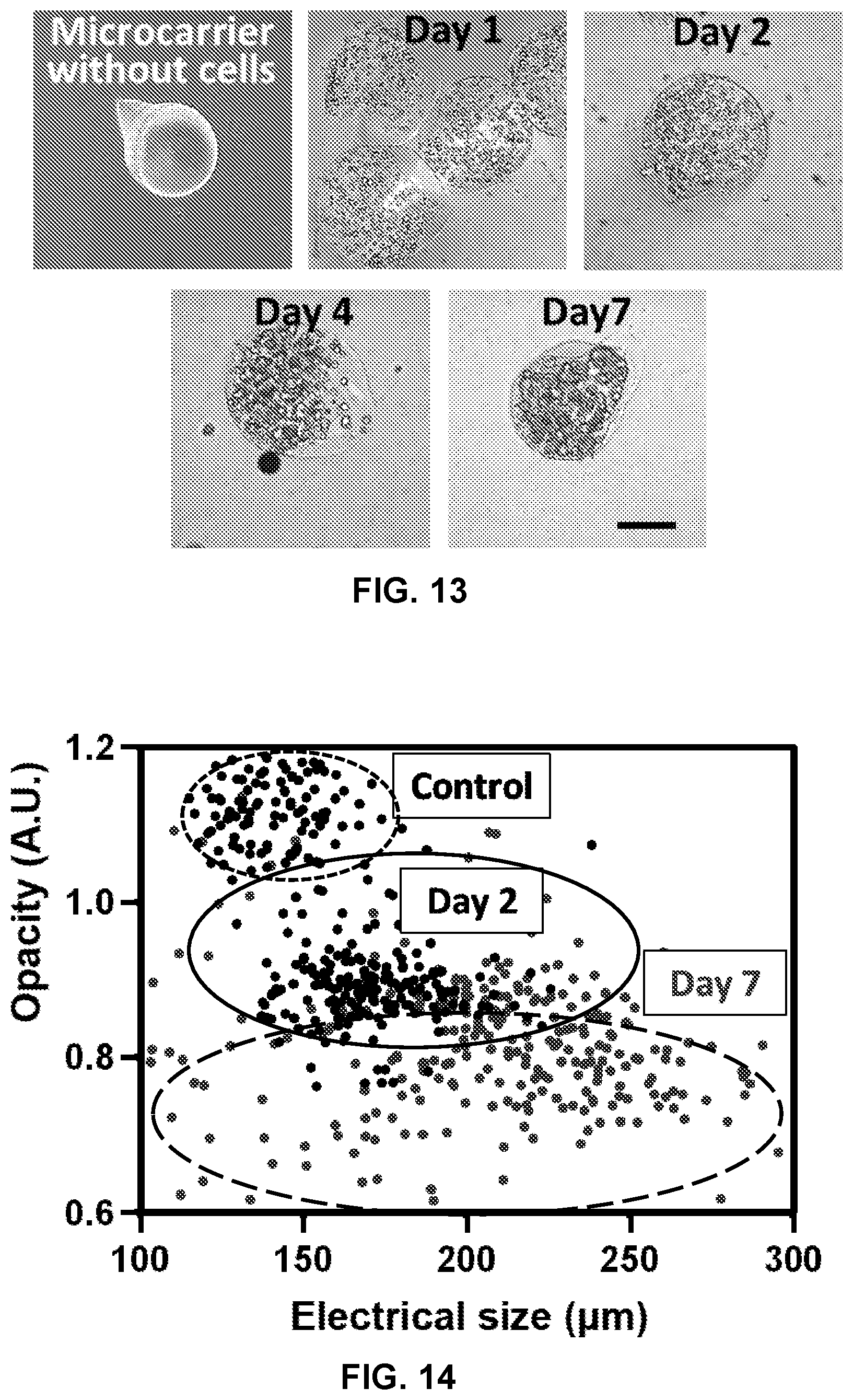 Patent US12613179 Figure 10 – Label-free electrical monitoring of cell aggregates