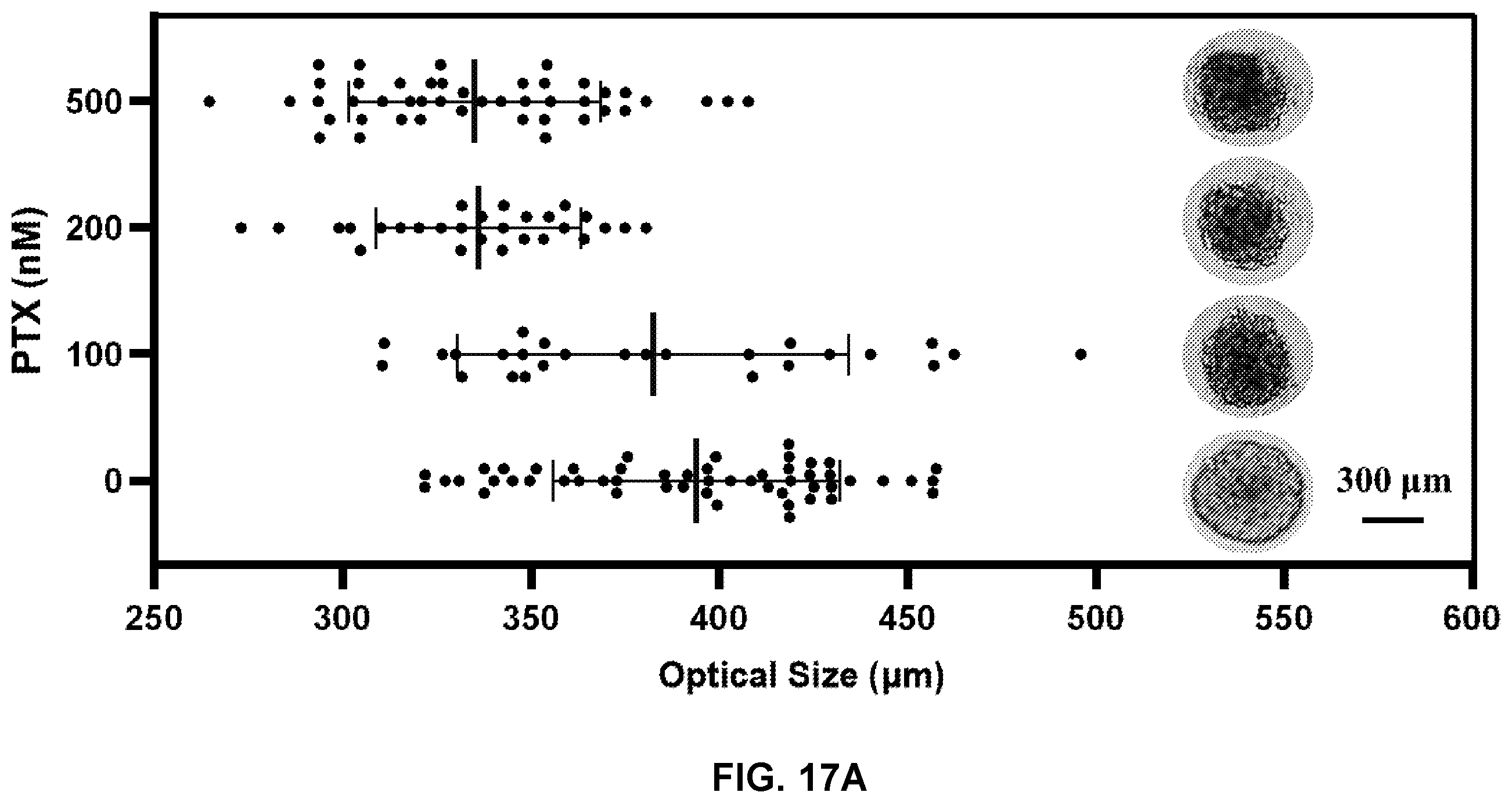 Patent US12613179 Figure 13 – Label-free electrical monitoring of cell aggregates