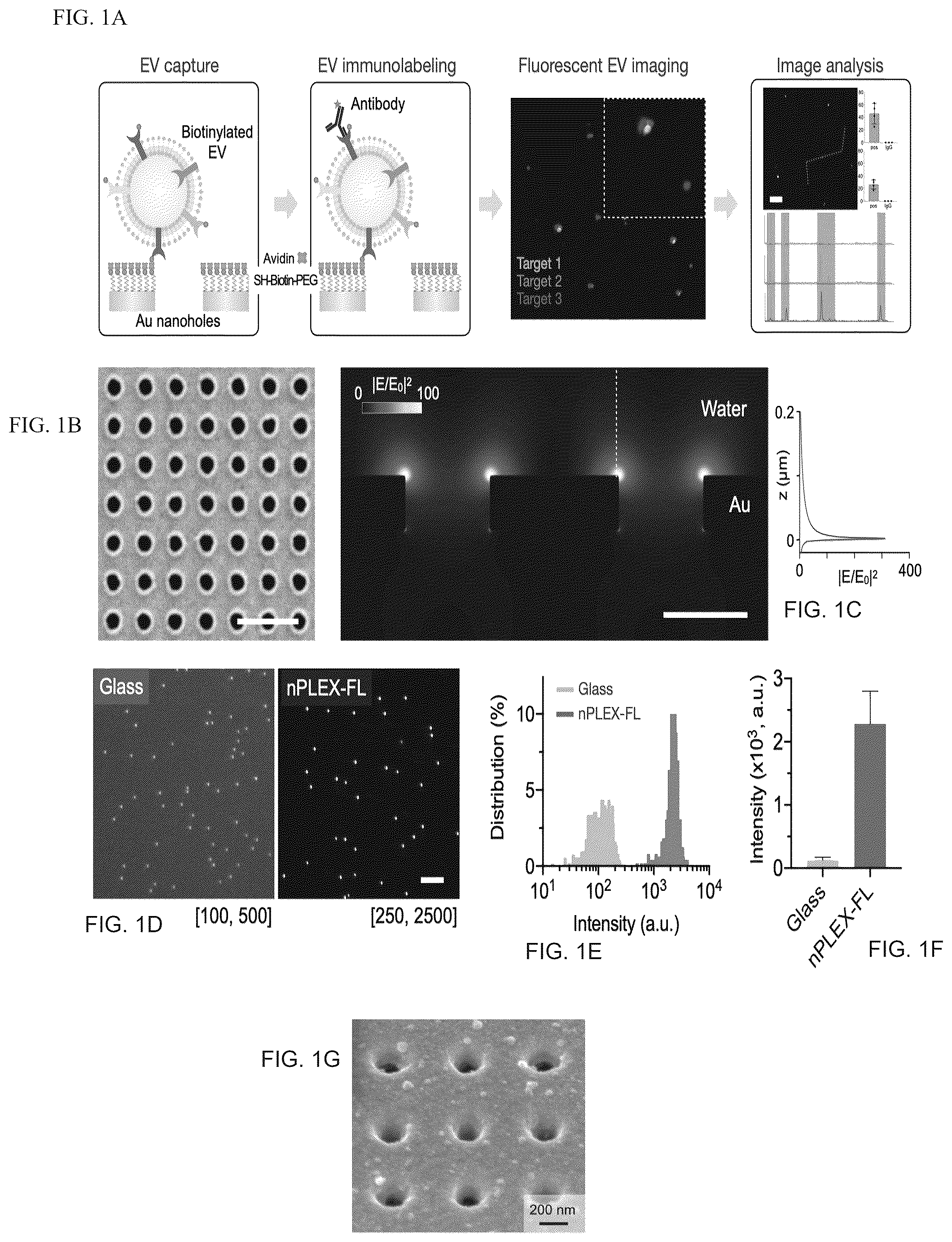 Patent US12613188 — Methods and systems of enhancing electromagnetic radiation signals from extracellular vesicles — Figure 1