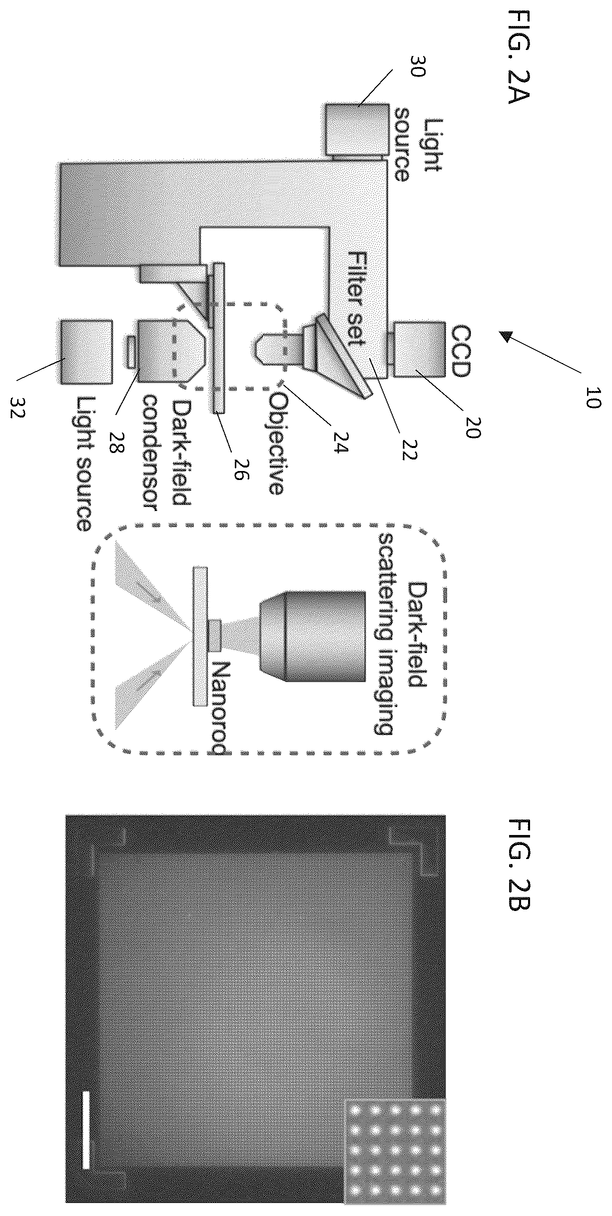 Patent US12613188 Figure 2 – Methods and systems of enhancing electromagnetic radiation signals from extracellular vesicles
