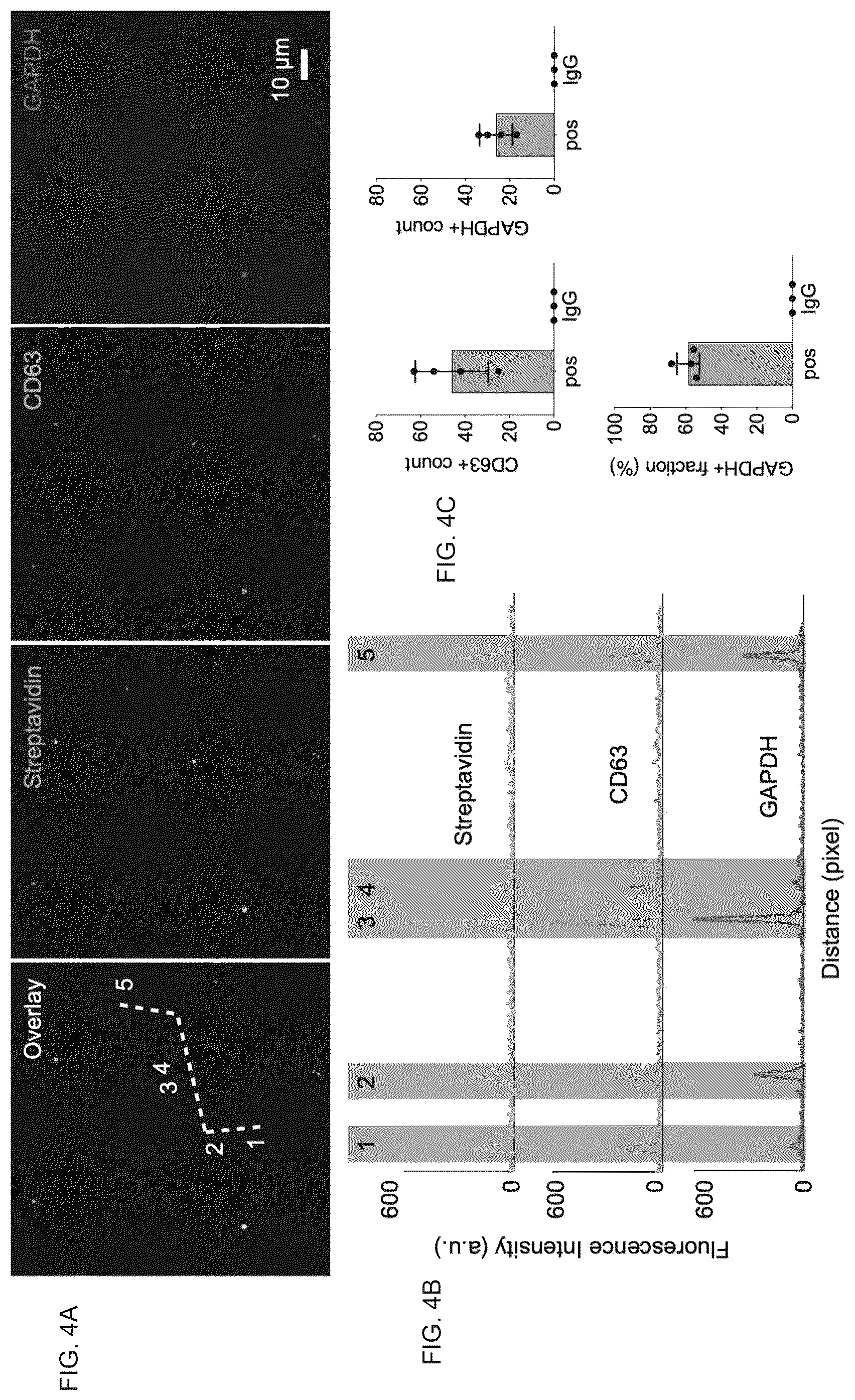 Patent US12613188 Figure 4 – Methods and systems of enhancing electromagnetic radiation signals from extracellular vesicles
