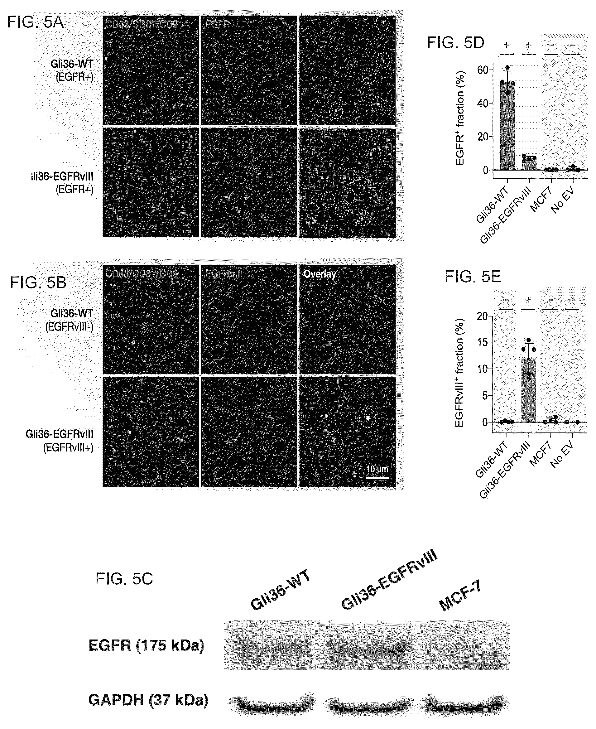 Patent US12613188 Figure 5 – Methods and systems of enhancing electromagnetic radiation signals from extracellular vesicles