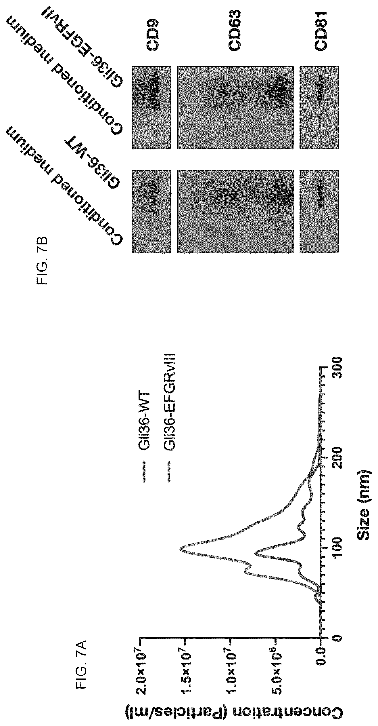 Patent US12613188 Figure 7 – Methods and systems of enhancing electromagnetic radiation signals from extracellular vesicles