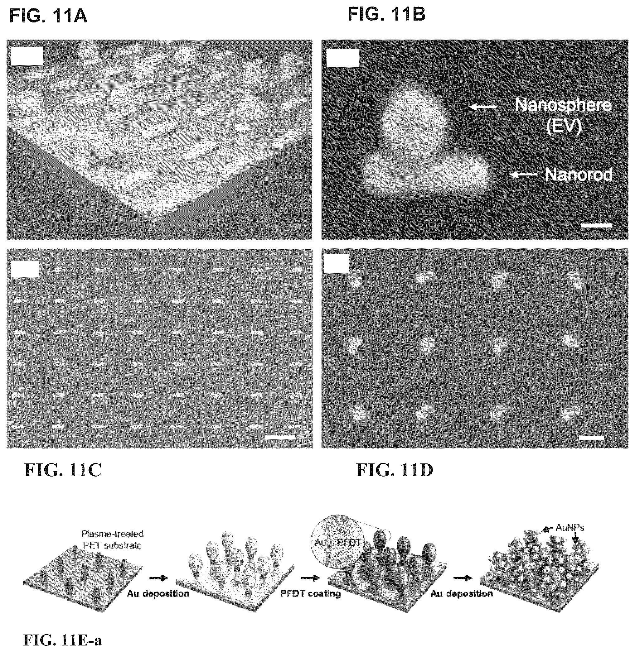 Patent US12613188 Figure 11 – Methods and systems of enhancing electromagnetic radiation signals from extracellular vesicles