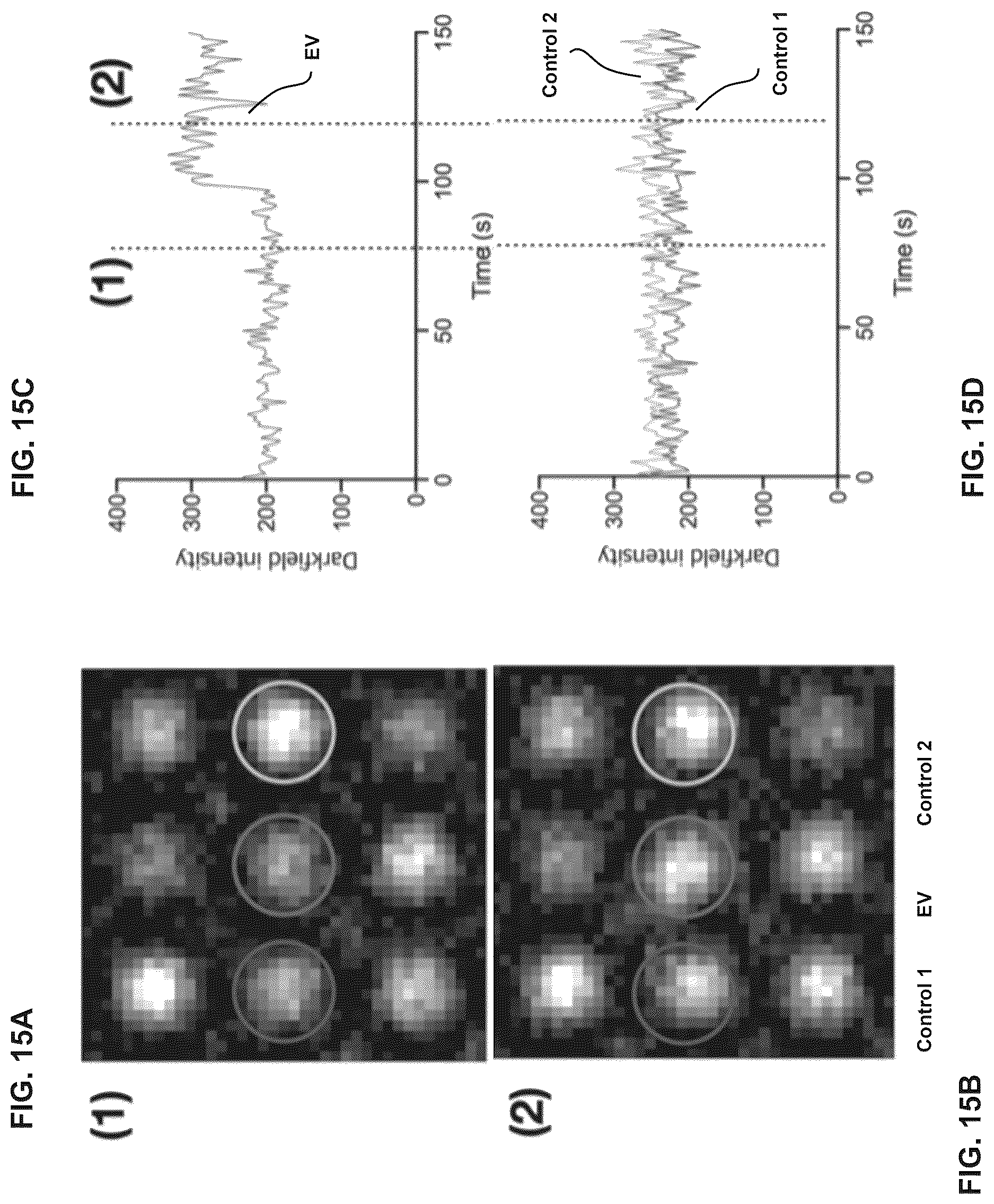 Patent US12613188 Figure 15 – Methods and systems of enhancing electromagnetic radiation signals from extracellular vesicles