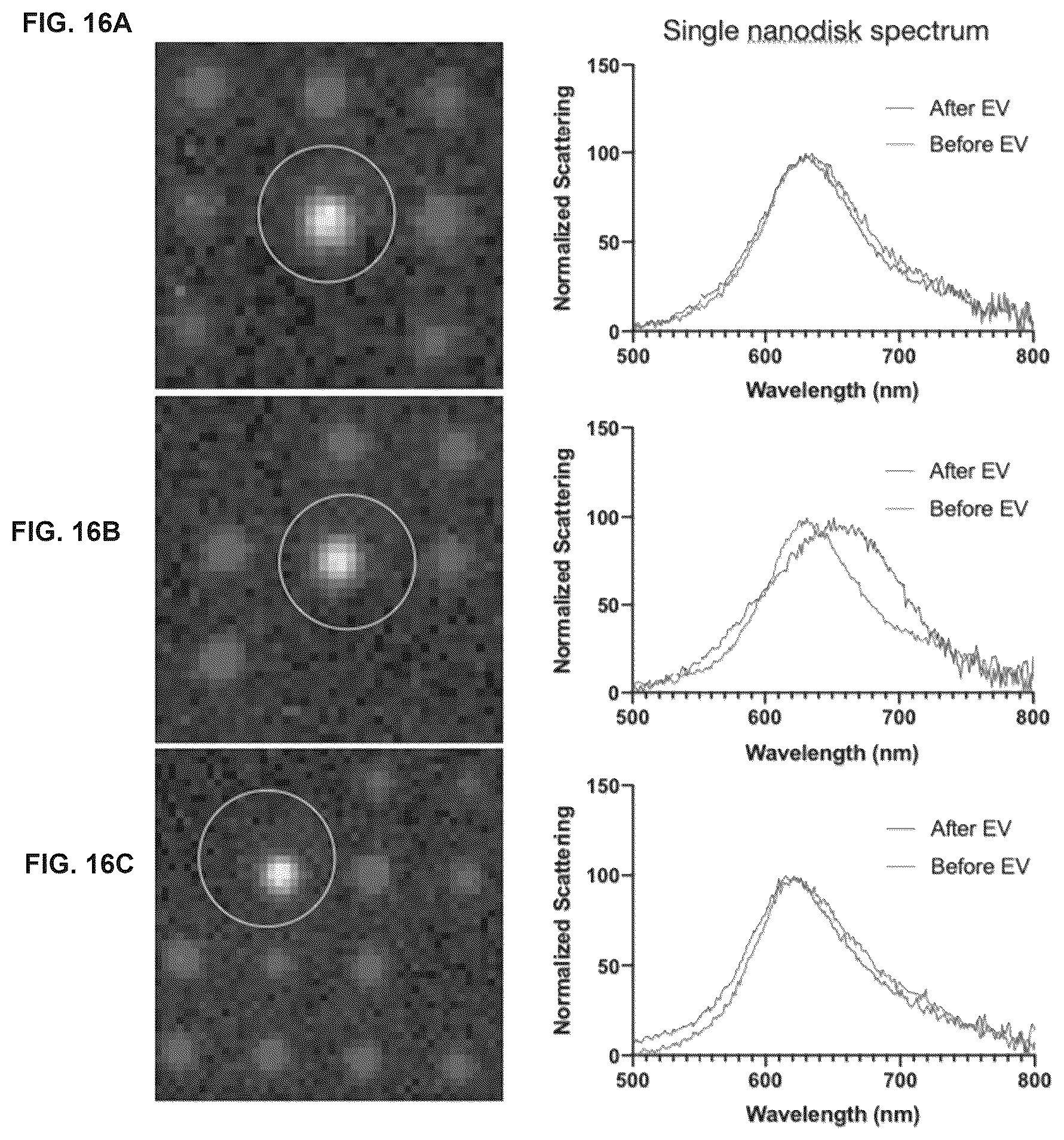 Patent US12613188 Figure 16 – Methods and systems of enhancing electromagnetic radiation signals from extracellular vesicles