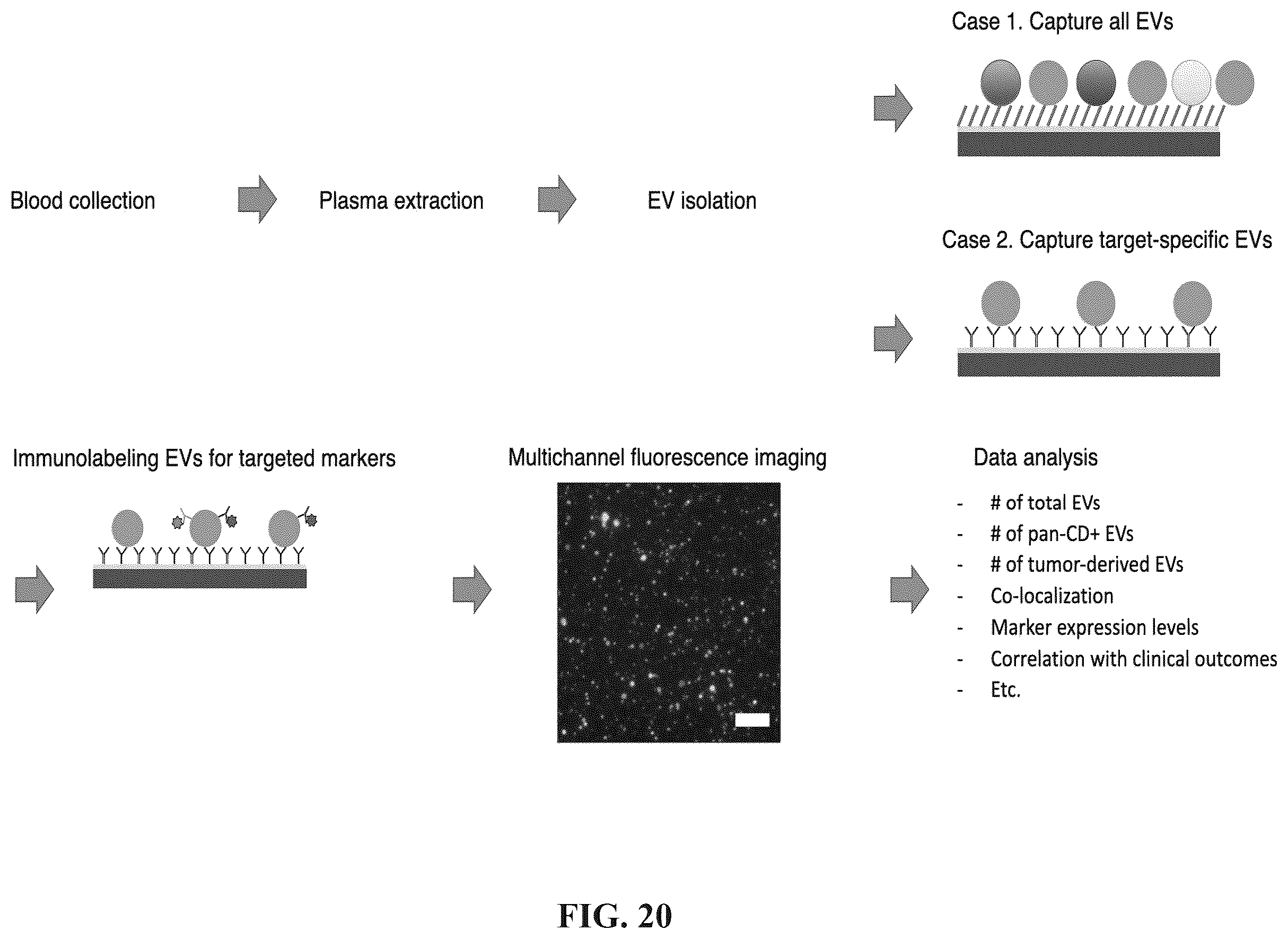 Patent US12613188 Figure 19 – Methods and systems of enhancing electromagnetic radiation signals from extracellular vesicles