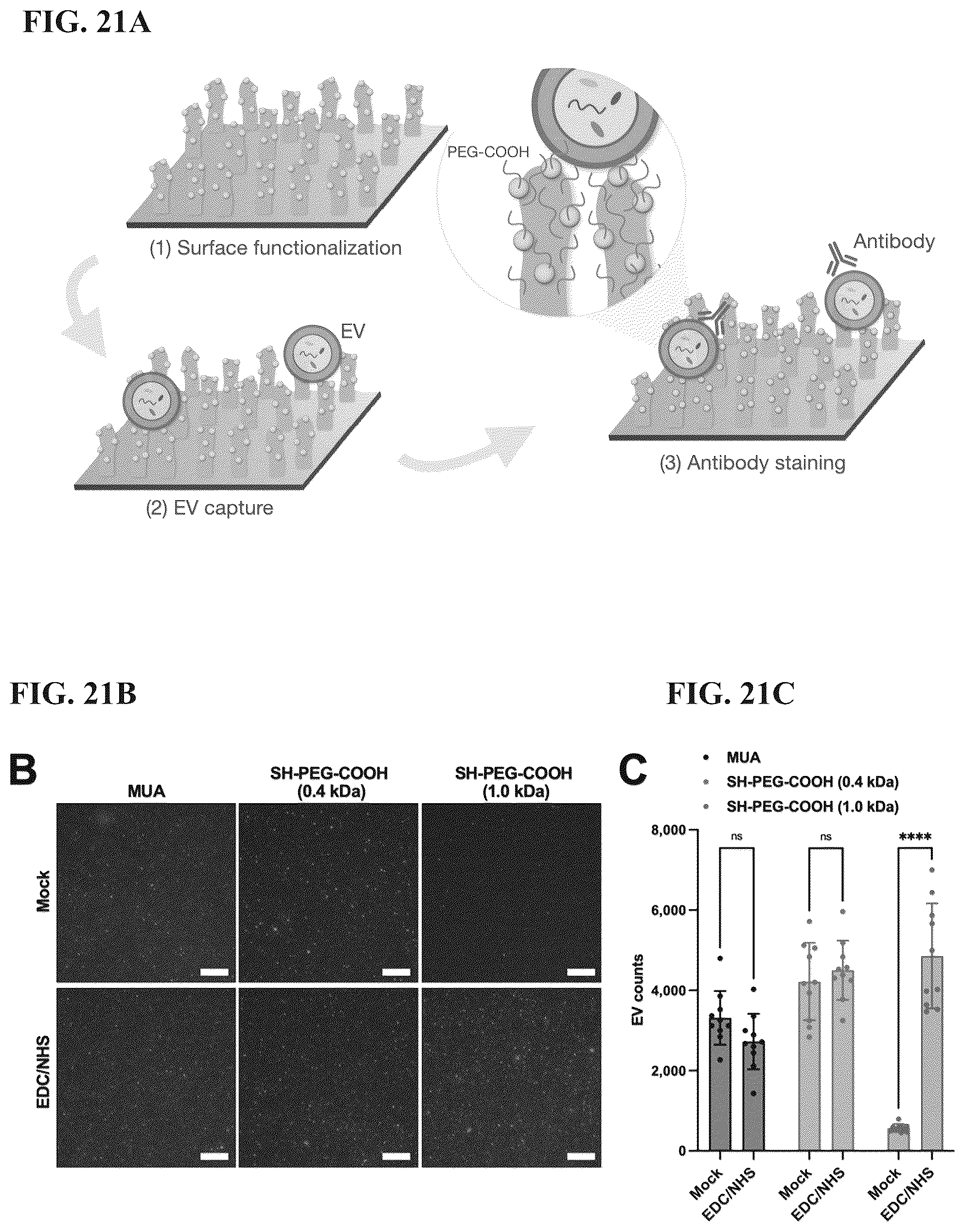 Patent US12613188 Figure 20 – Methods and systems of enhancing electromagnetic radiation signals from extracellular vesicles
