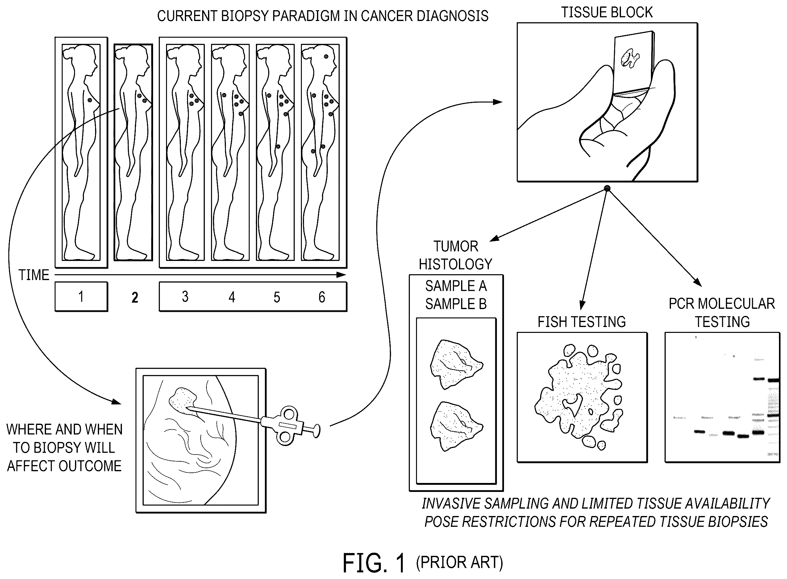 Patent US12613190 Figure 1 – Quantitative liquid biopsy diagnostic system and methods