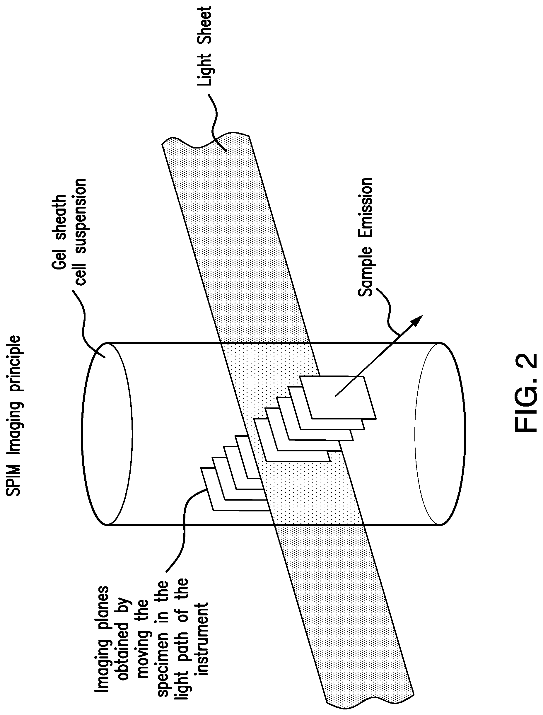 Patent US12613190 Figure 2 – Quantitative liquid biopsy diagnostic system and methods