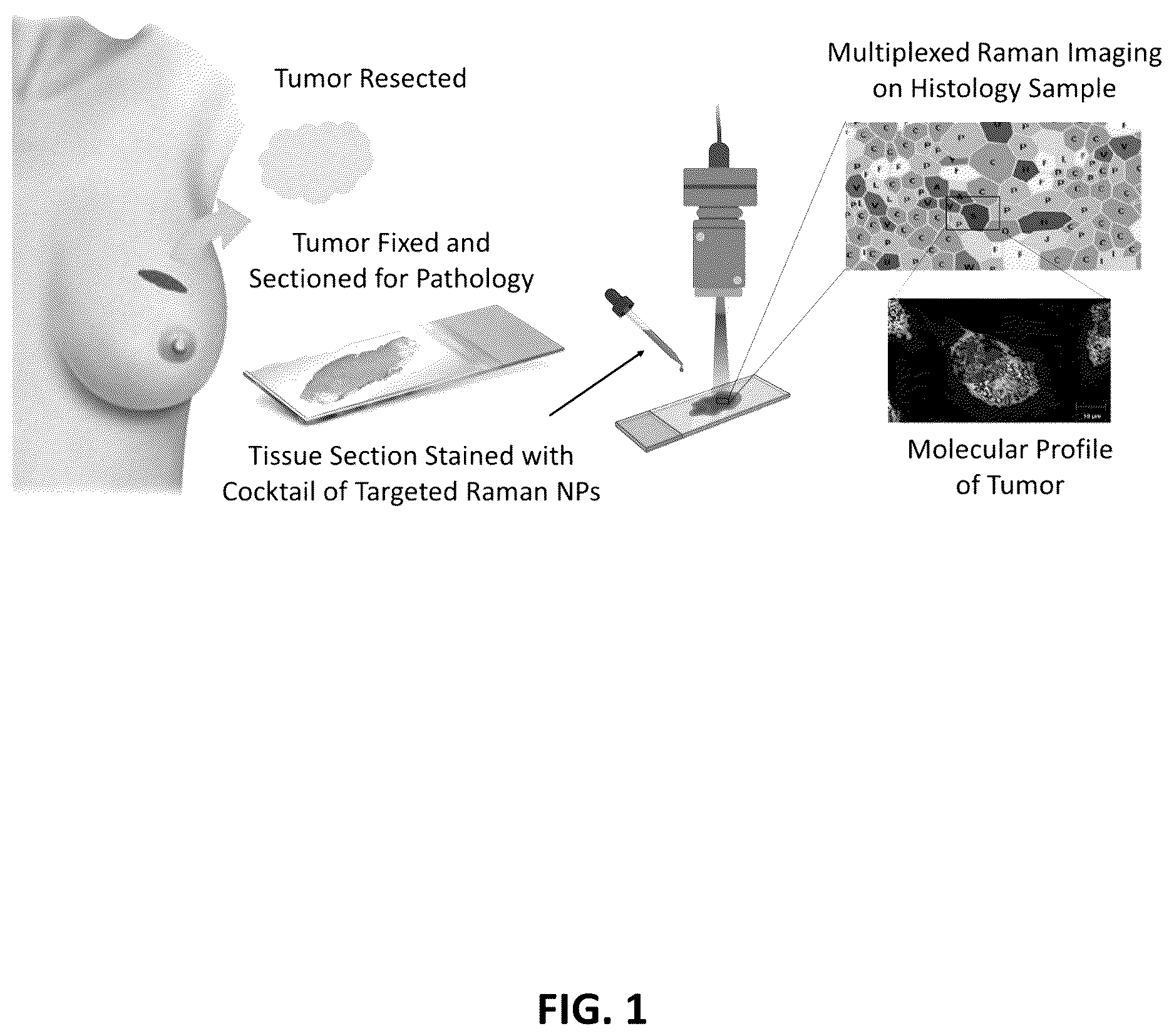 Patent US12613191 Figure 1 – Multiplexed Raman molecular imaging