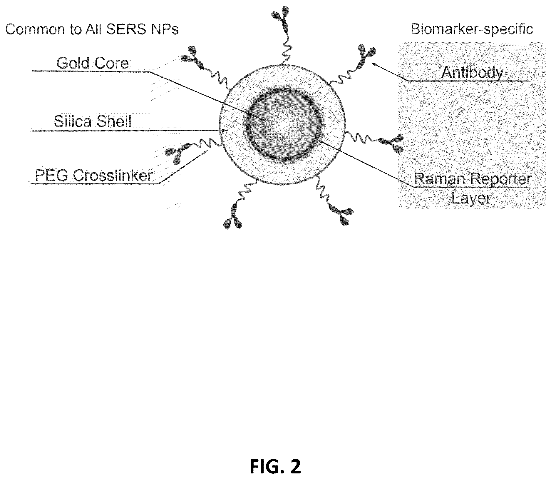 Patent US12613191 Figure 2 – Multiplexed Raman molecular imaging