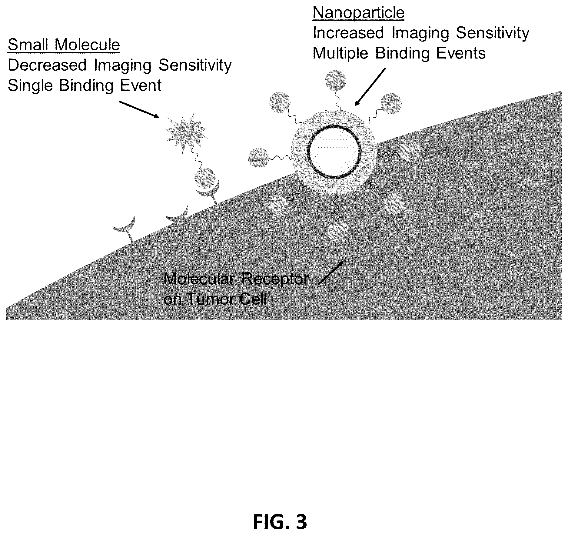 Patent US12613191 Figure 3 – Multiplexed Raman molecular imaging