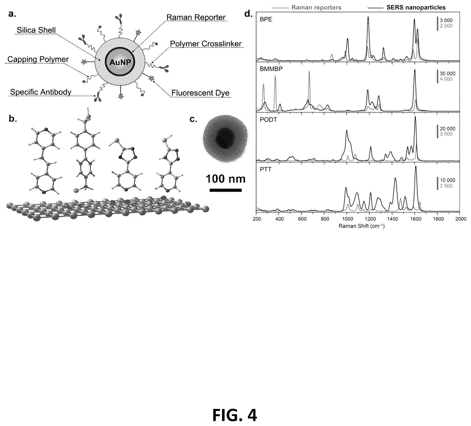 Patent US12613191 Figure 4 – Multiplexed Raman molecular imaging