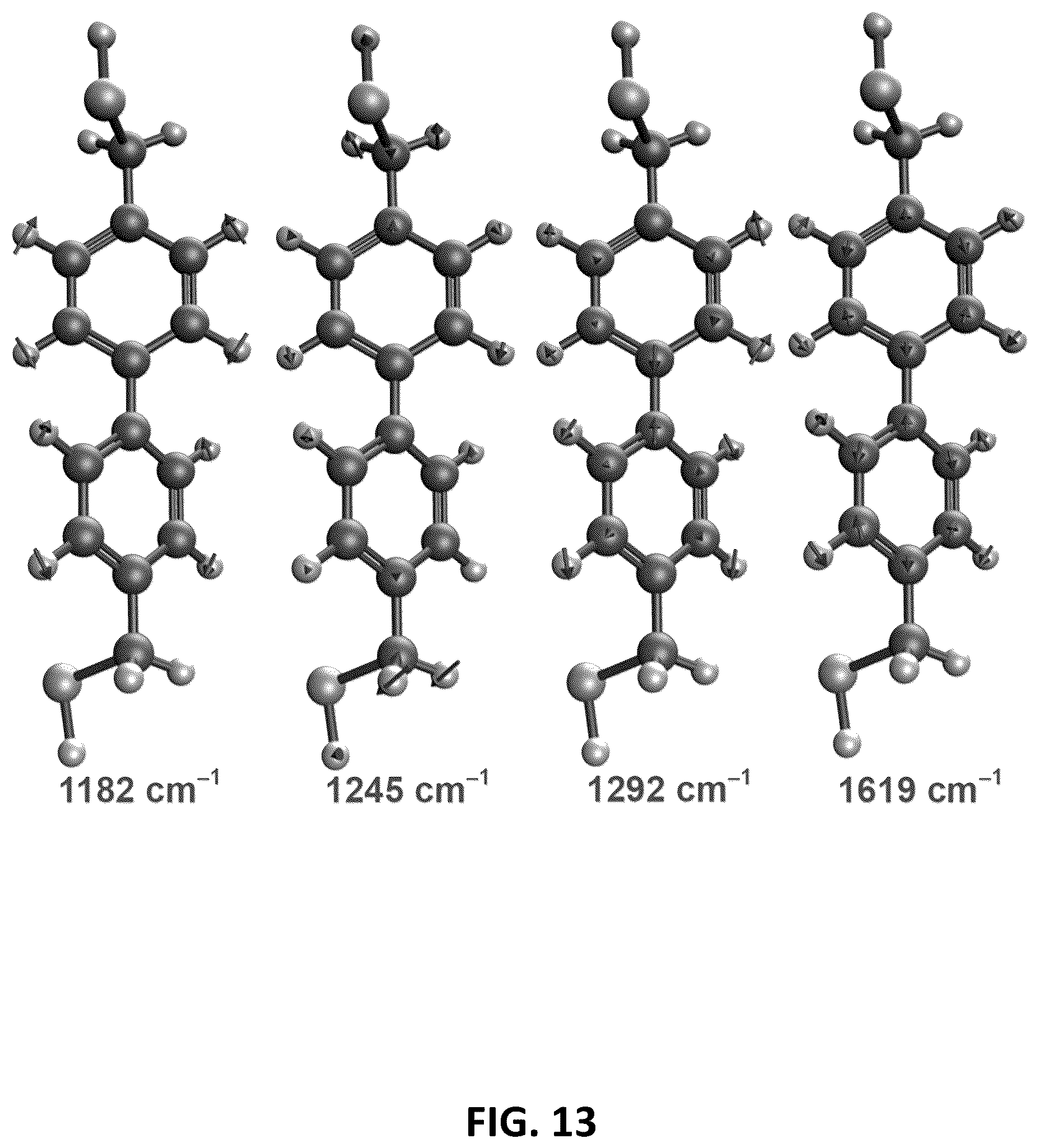 Patent US12613191 Figure 13 – Multiplexed Raman molecular imaging