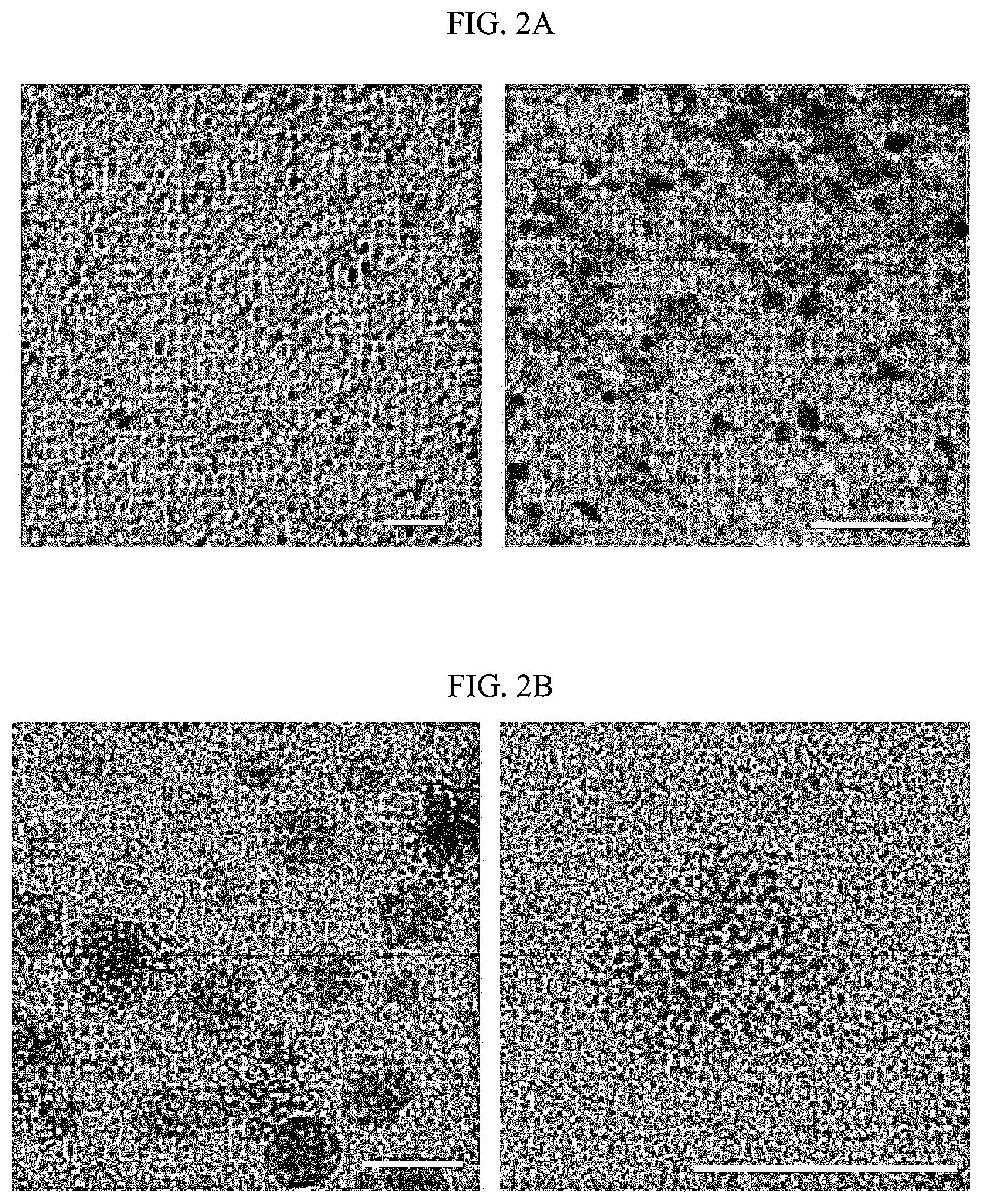 Patent US12613204 Figure 3 – Method for analyzing endosomal escape efficiency of drug delivery particles