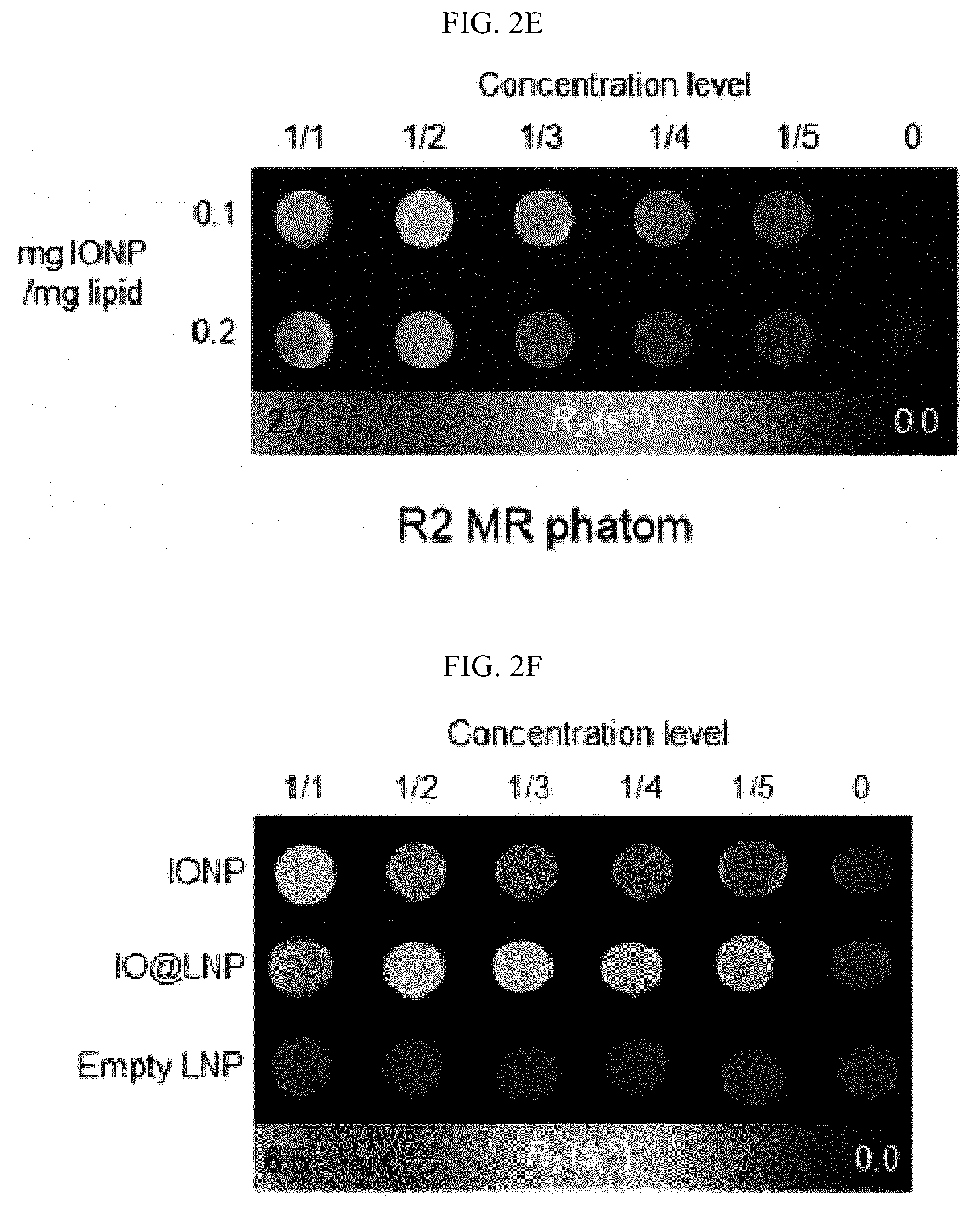 Patent US12613204 Figure 5 – Method for analyzing endosomal escape efficiency of drug delivery particles