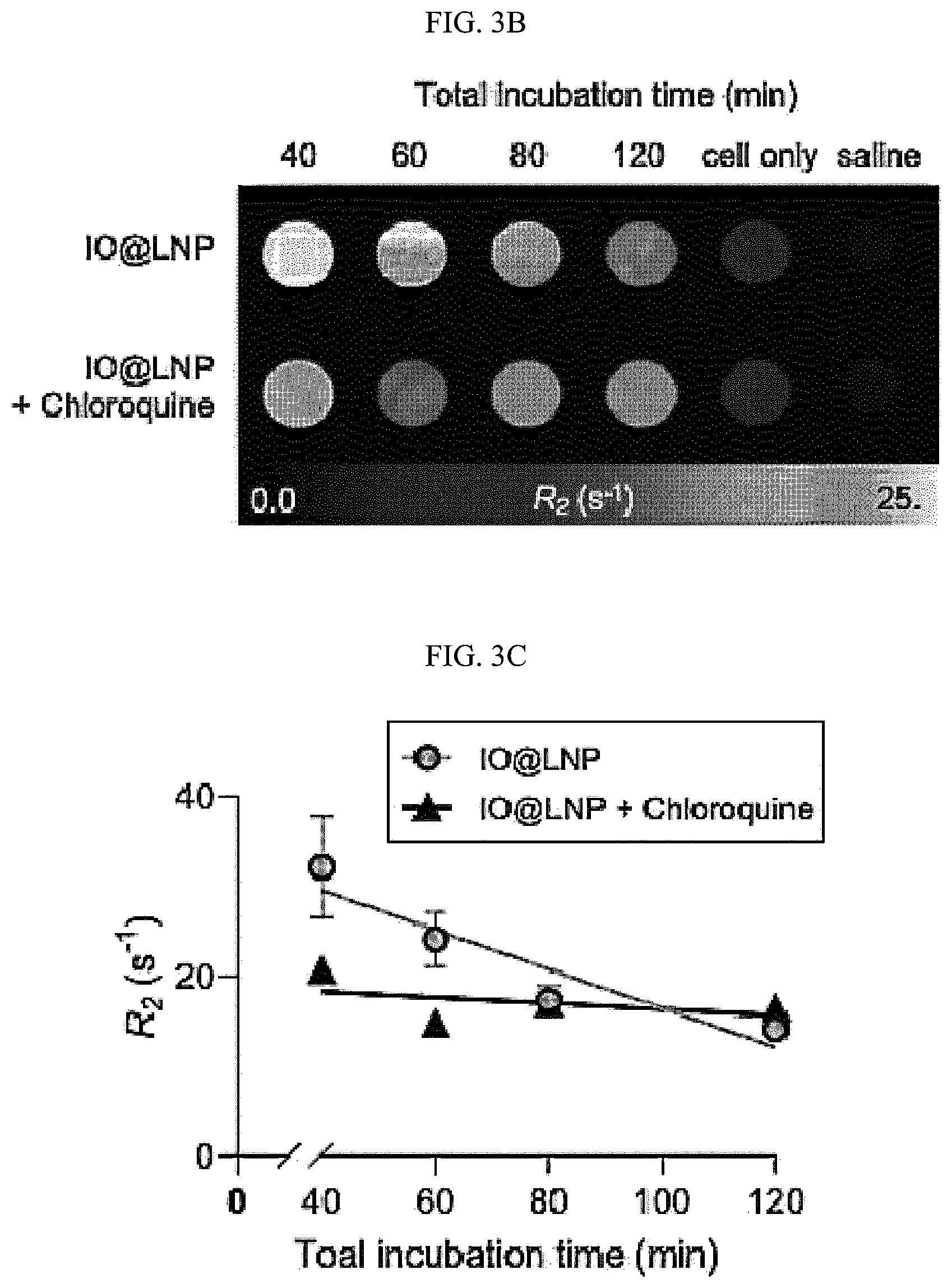 Patent US12613204 Figure 8 – Method for analyzing endosomal escape efficiency of drug delivery particles