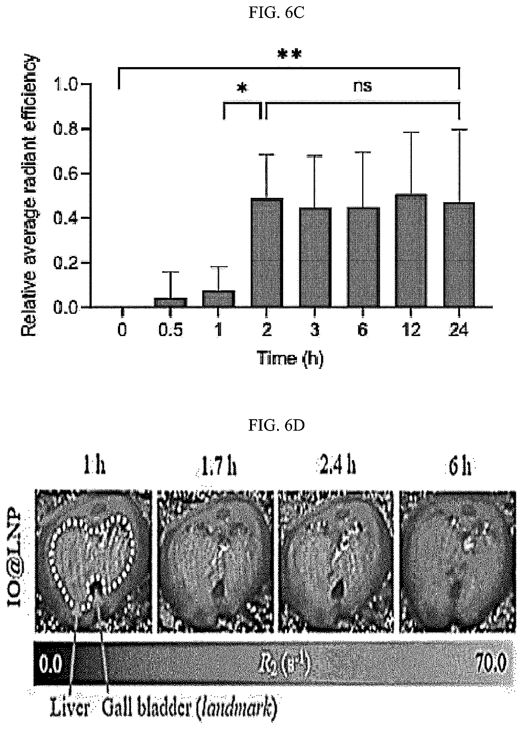 Patent US12613204 Figure 17 – Method for analyzing endosomal escape efficiency of drug delivery particles