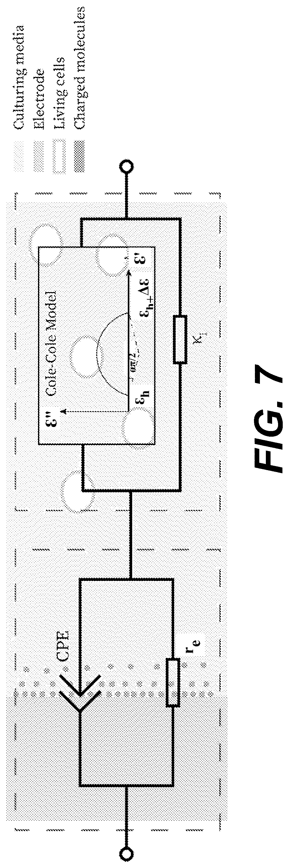 Patent US12613219 Figure 7 – Methods of determining viable cell count and impedance-based biosensors for the same
