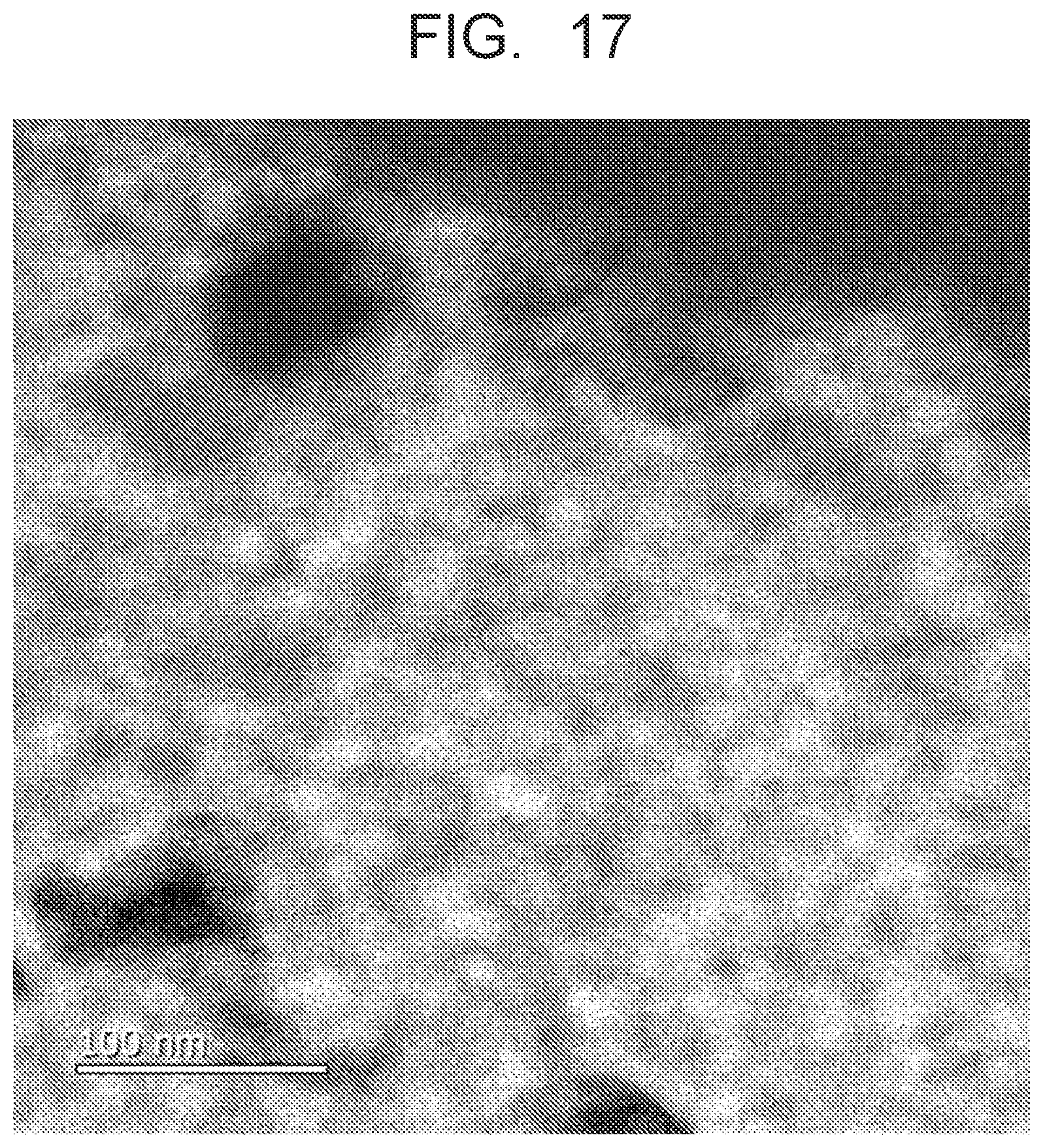 Patent US12613222 Figure 13 – Molecular sensor and molecular detection apparatus