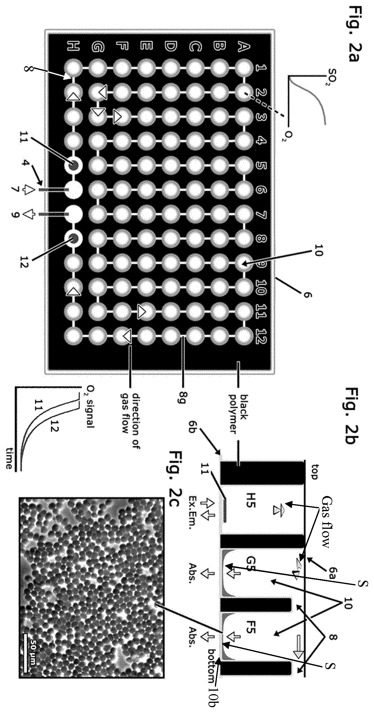 Patent US12613230 Figure 2 – Device and process for analysing gas effects in samples