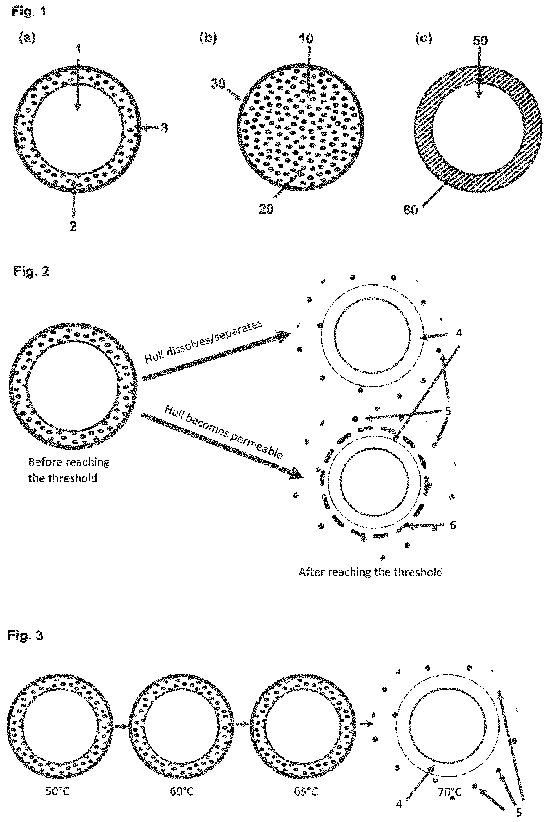 Patent US12613233 Figure 1 – Threshold-triggered tracer particles