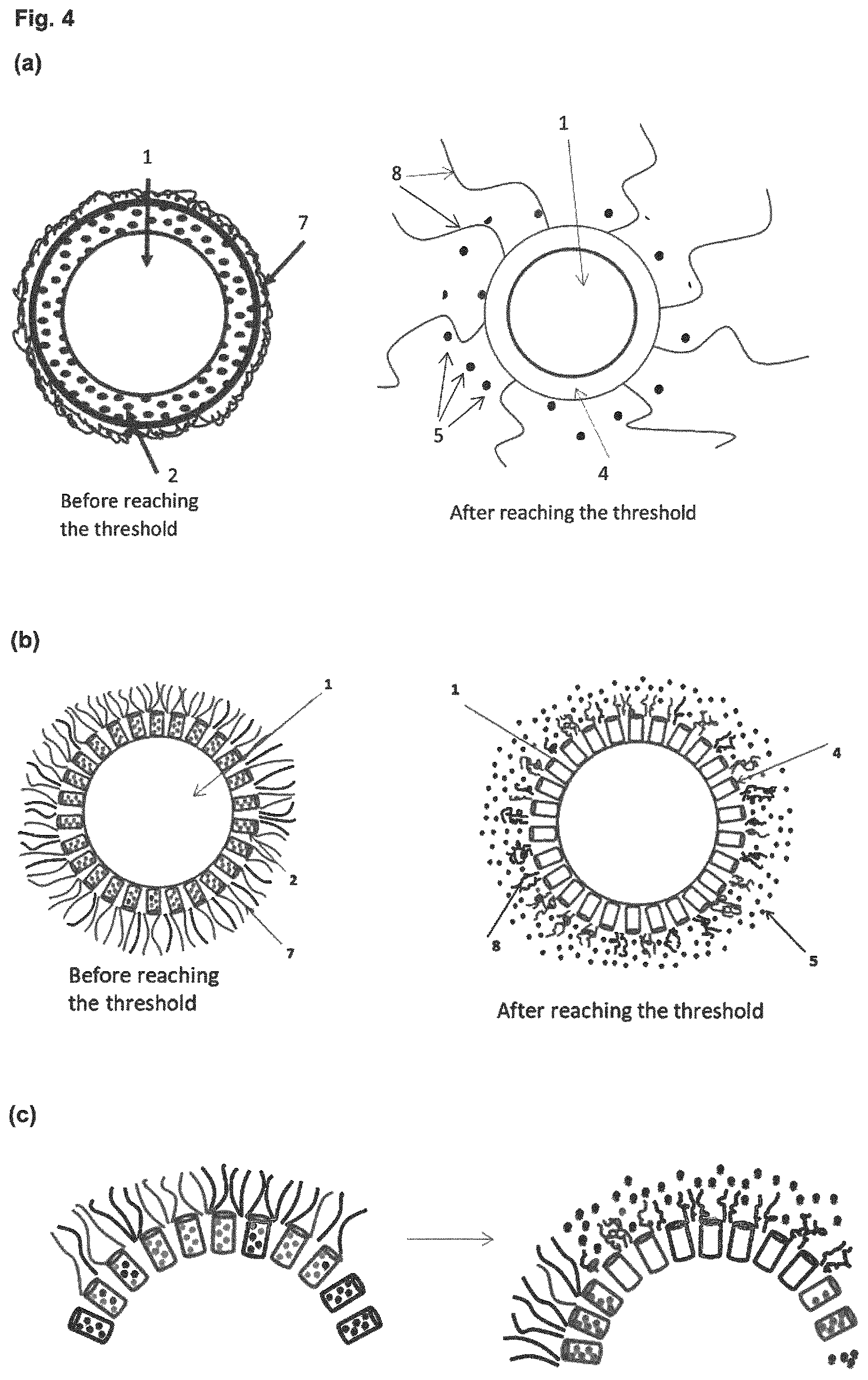 Patent US12613233 Figure 2 – Threshold-triggered tracer particles