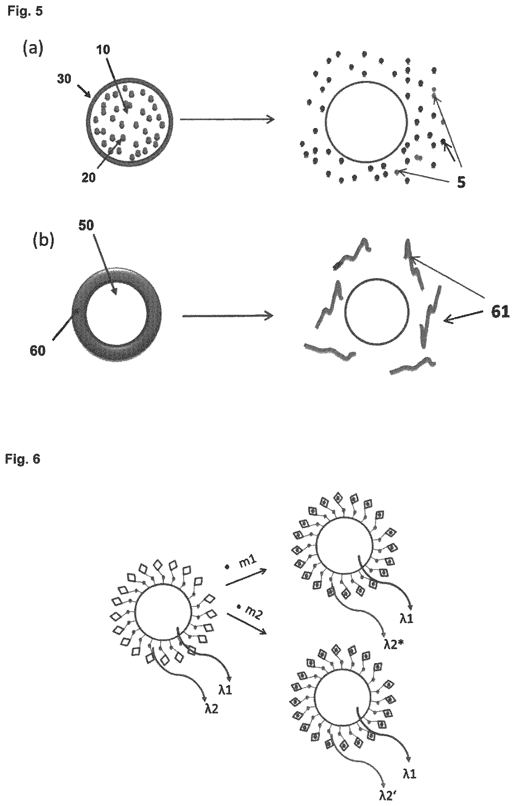 Patent US12613233 Figure 3 – Threshold-triggered tracer particles