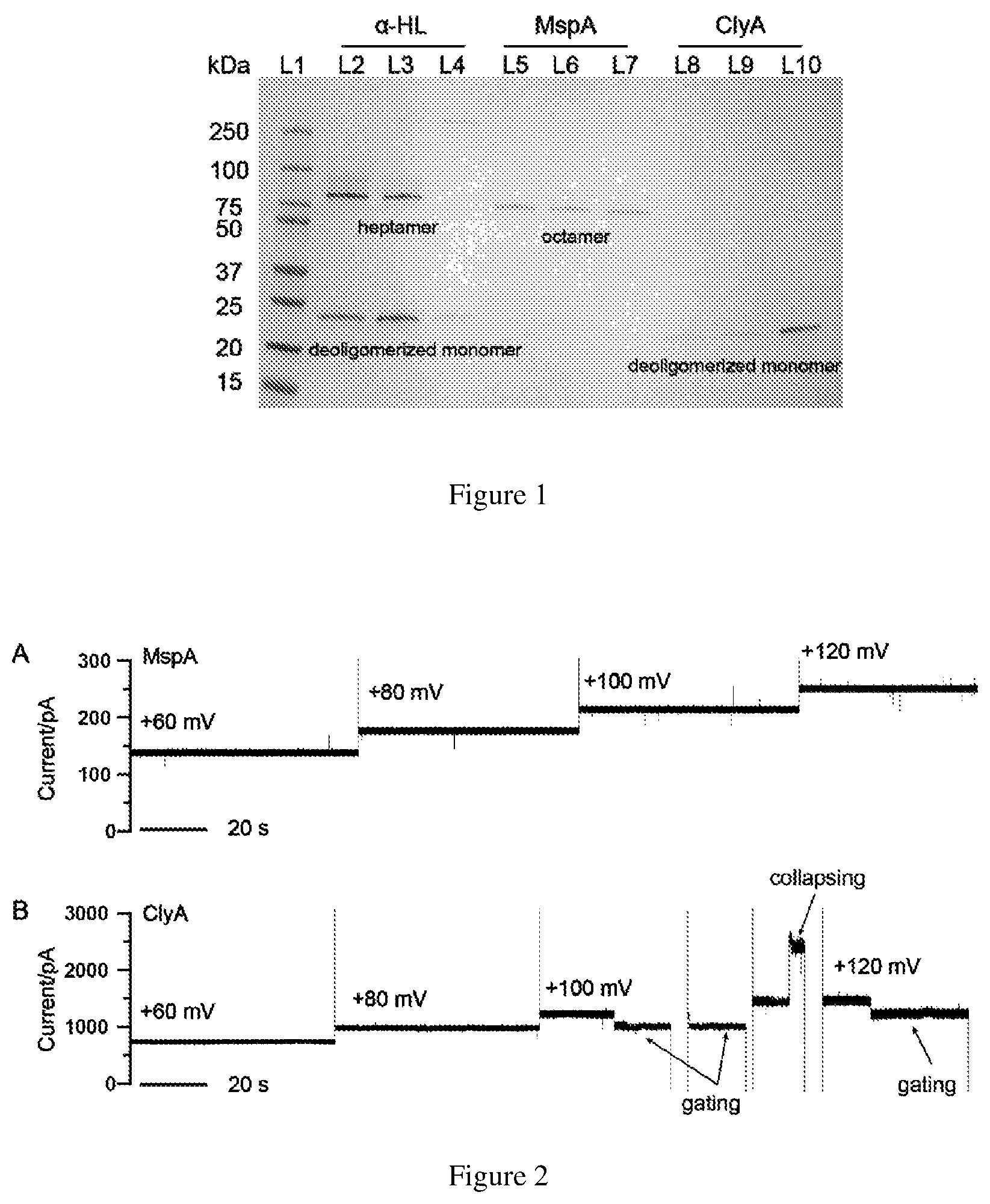 Patent US12613234 Figure 1 – Structural-profiling of analytes by nanopore trapping