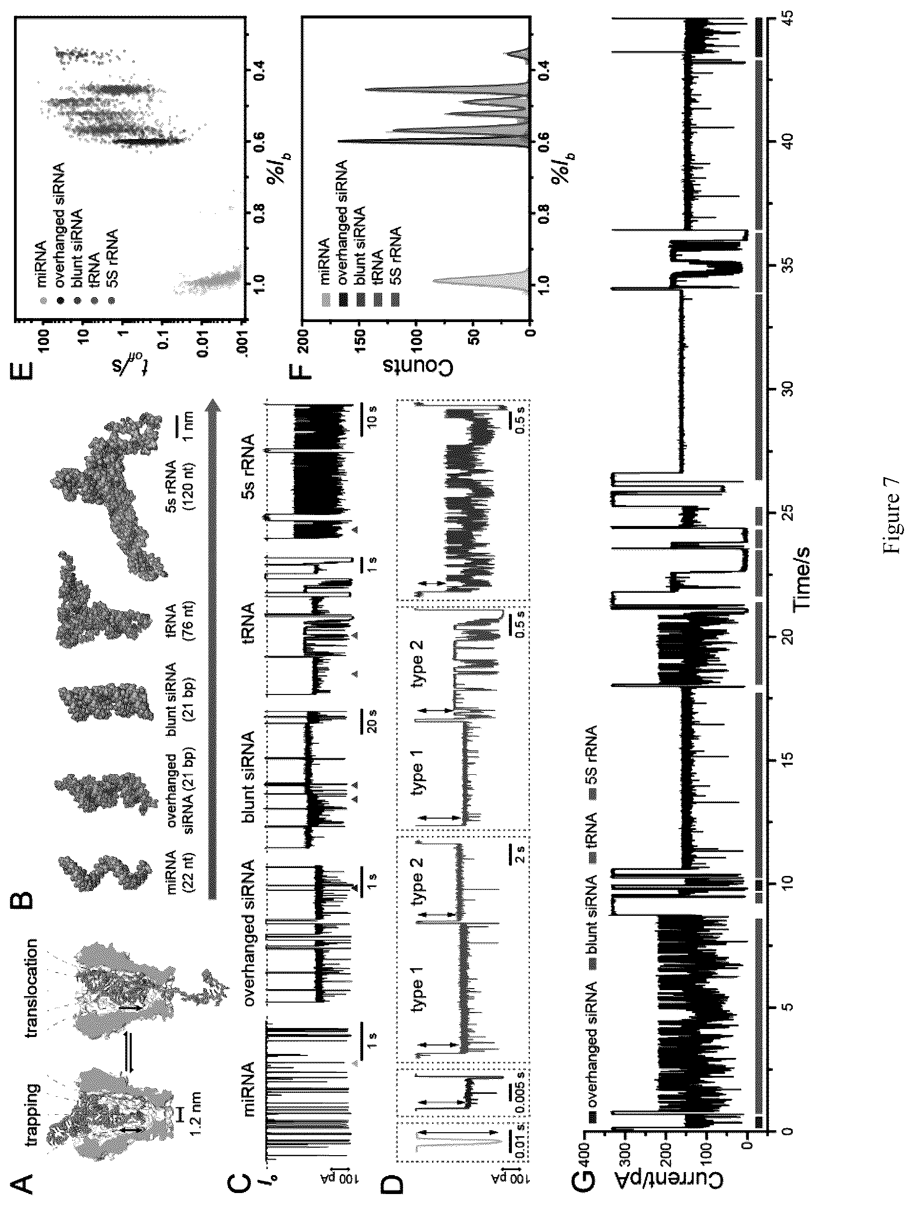 Patent US12613234 Figure 6 – Structural-profiling of analytes by nanopore trapping