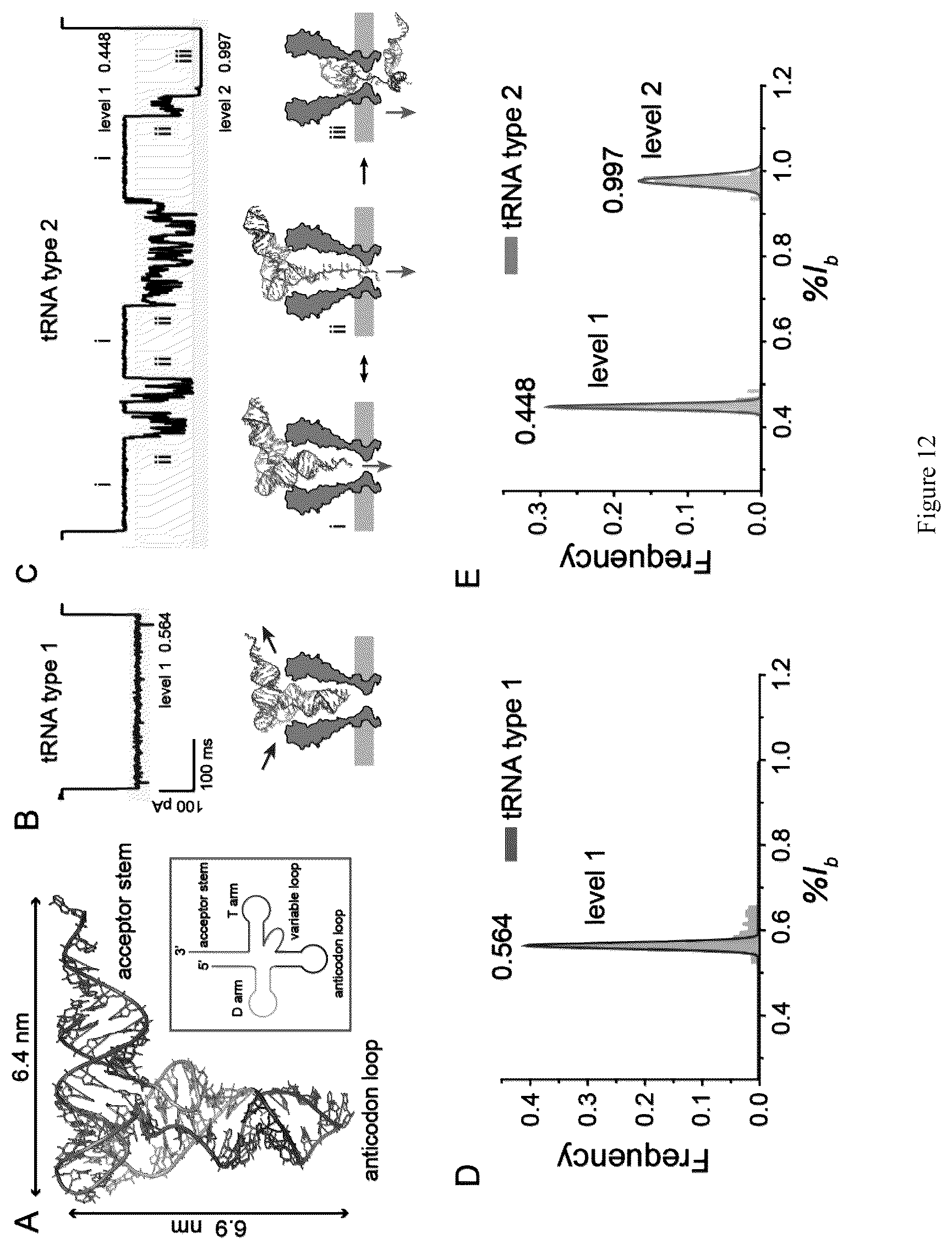 Patent US12613234 Figure 11 – Structural-profiling of analytes by nanopore trapping