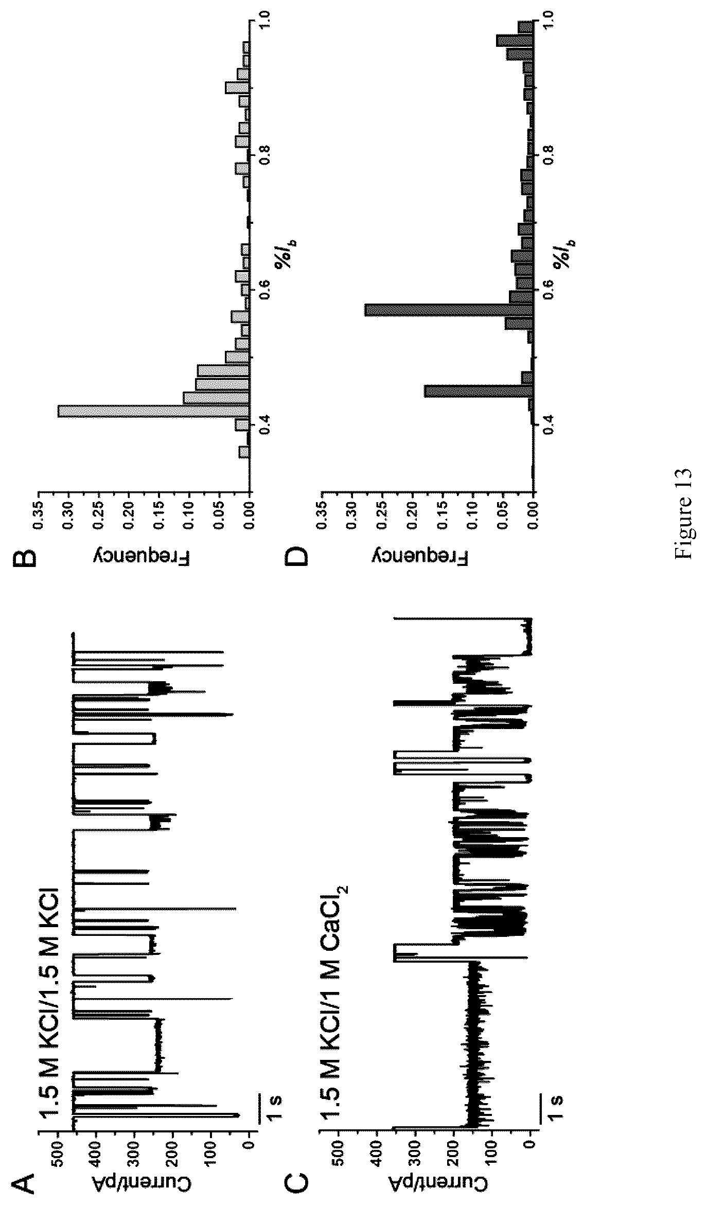 Patent US12613234 Figure 12 – Structural-profiling of analytes by nanopore trapping
