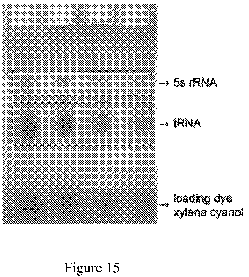 Patent US12613234 Figure 14 – Structural-profiling of analytes by nanopore trapping