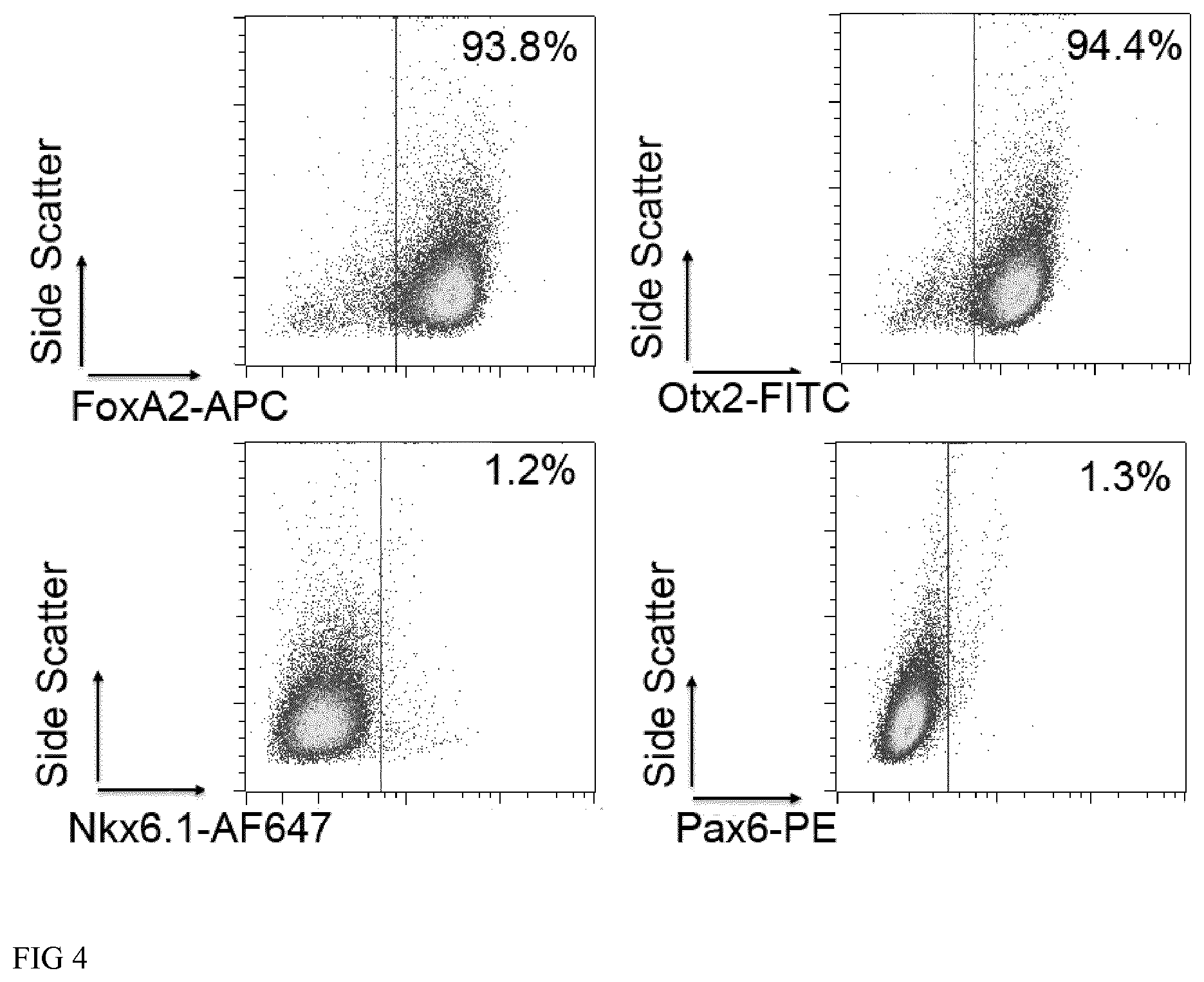 Patent US12613235 Figure 4 – Method and kit for characterizing dopaminergic progenitor cells obtained by differentiating pluripotent stem cells