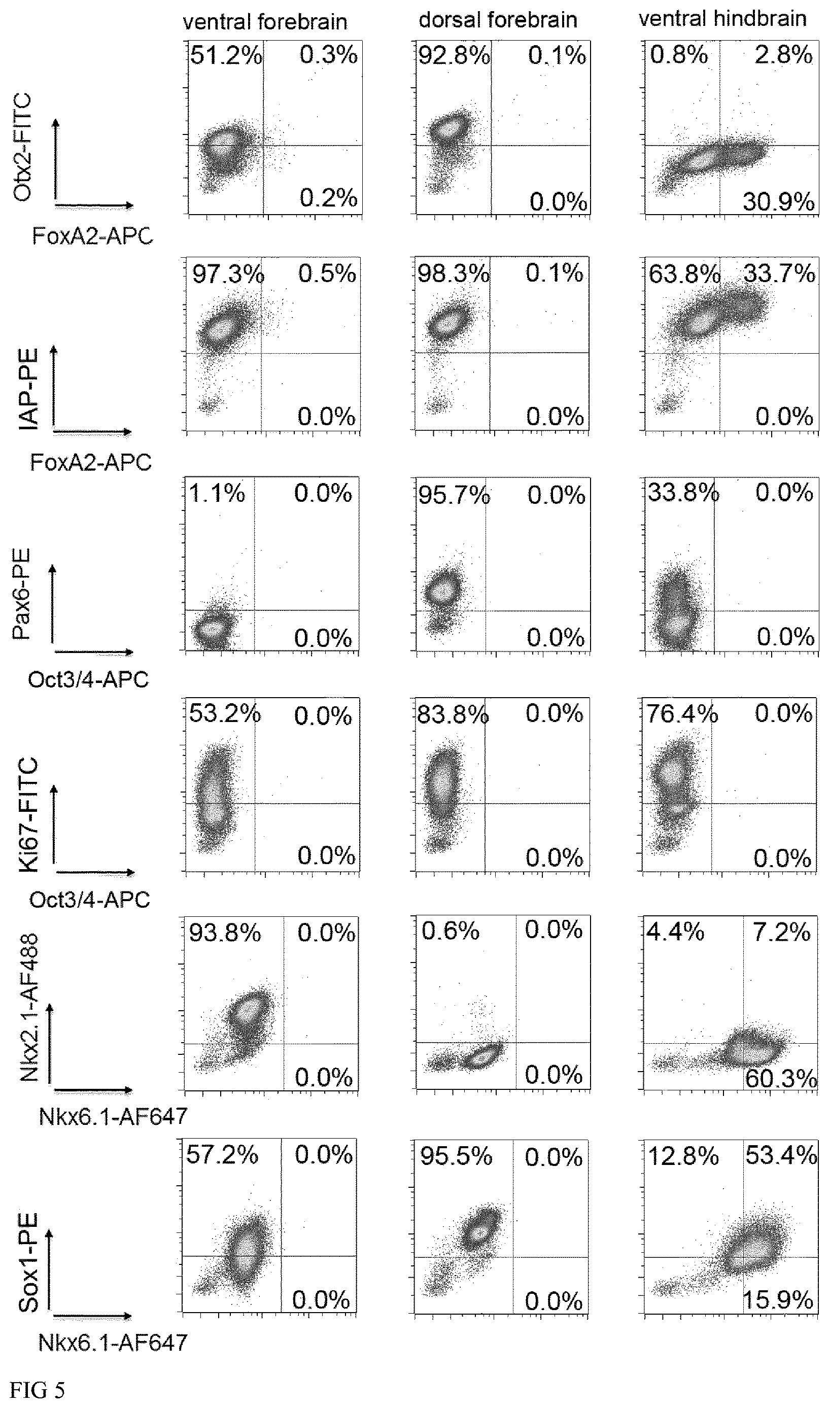 Patent US12613235 Figure 5 – Method and kit for characterizing dopaminergic progenitor cells obtained by differentiating pluripotent stem cells