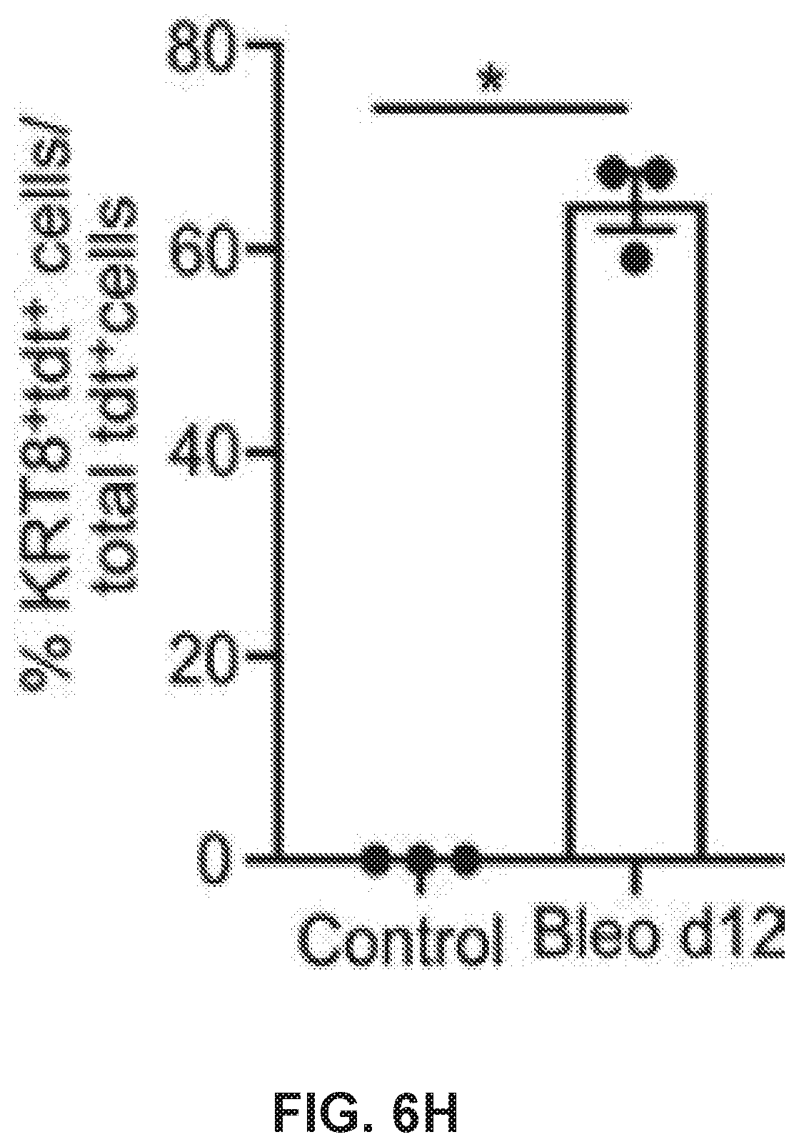 Patent US12613236 Figure 12 – Lung fibrosis model and methods of using the same