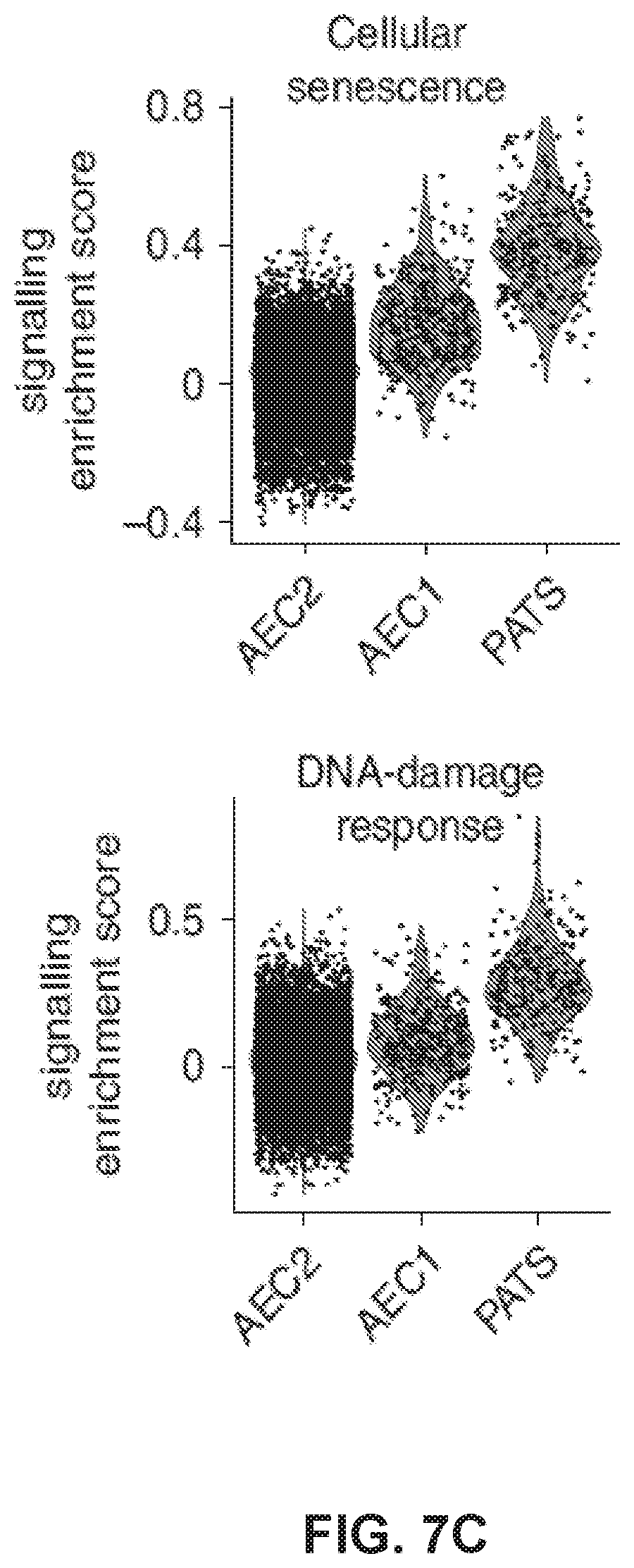 Patent US12613236 Figure 15 – Lung fibrosis model and methods of using the same
