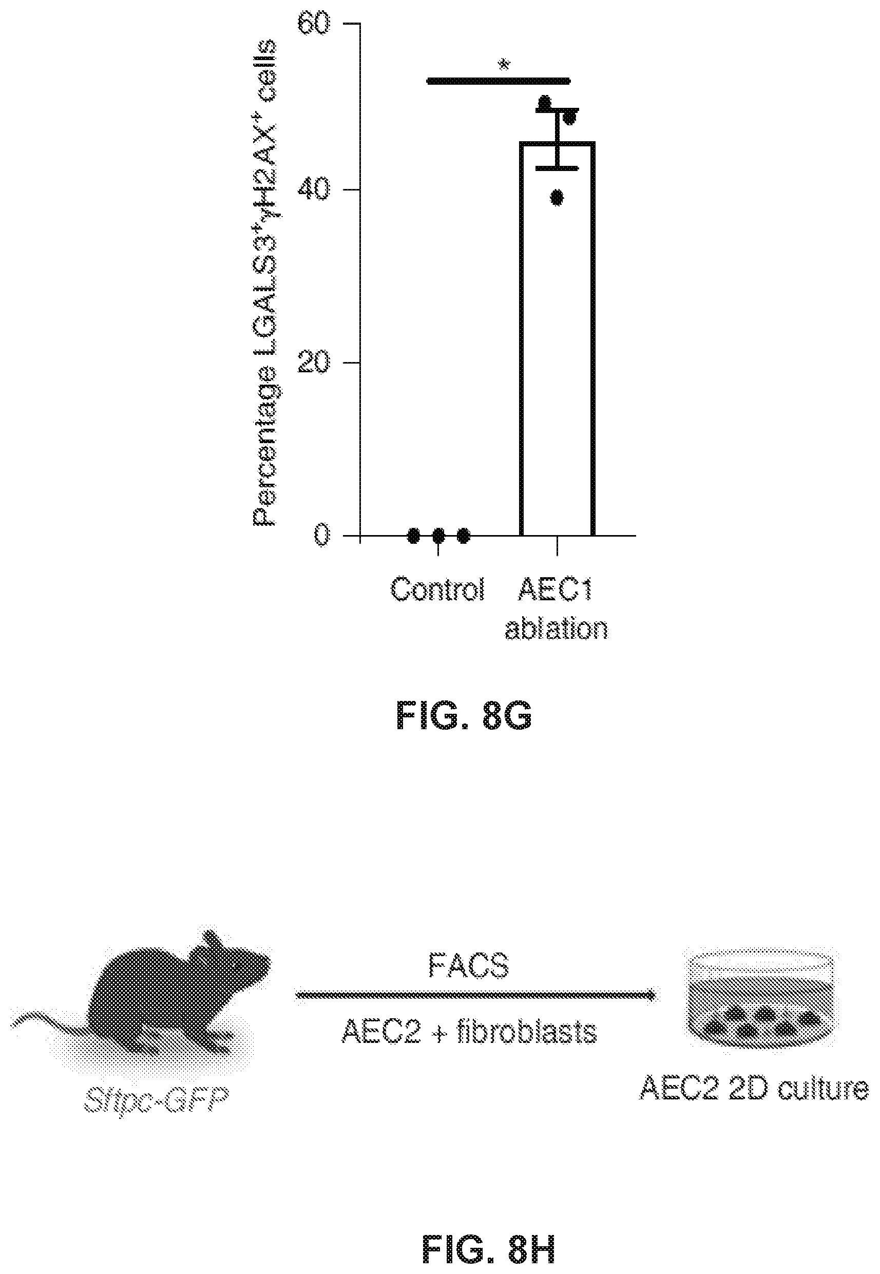 Patent US12613236 Figure 19 – Lung fibrosis model and methods of using the same