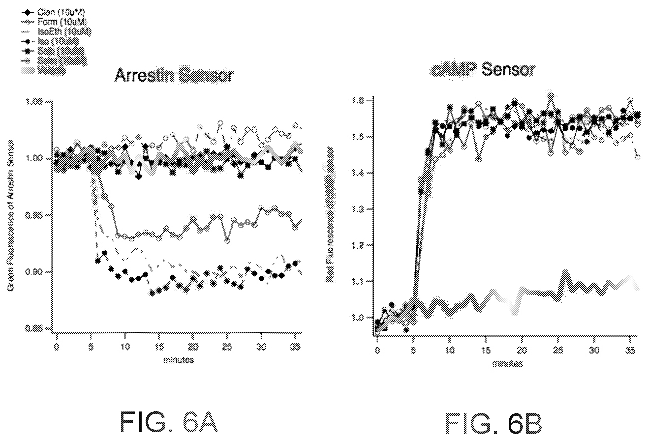 Patent US12613237 Figure 7 – Biosensors for detecting arrestin signaling