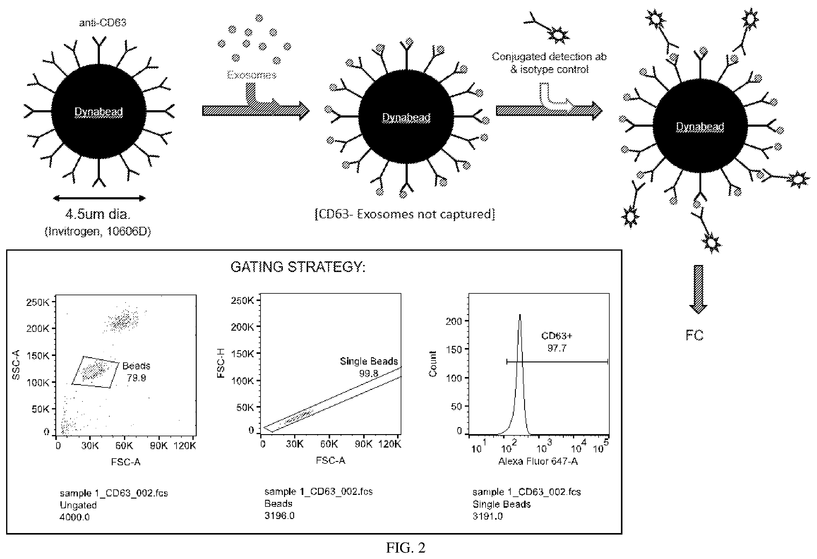 Patent US12613238 Figure 3 – Diagnostic and prognostic utility of exosomes in immunotherapy