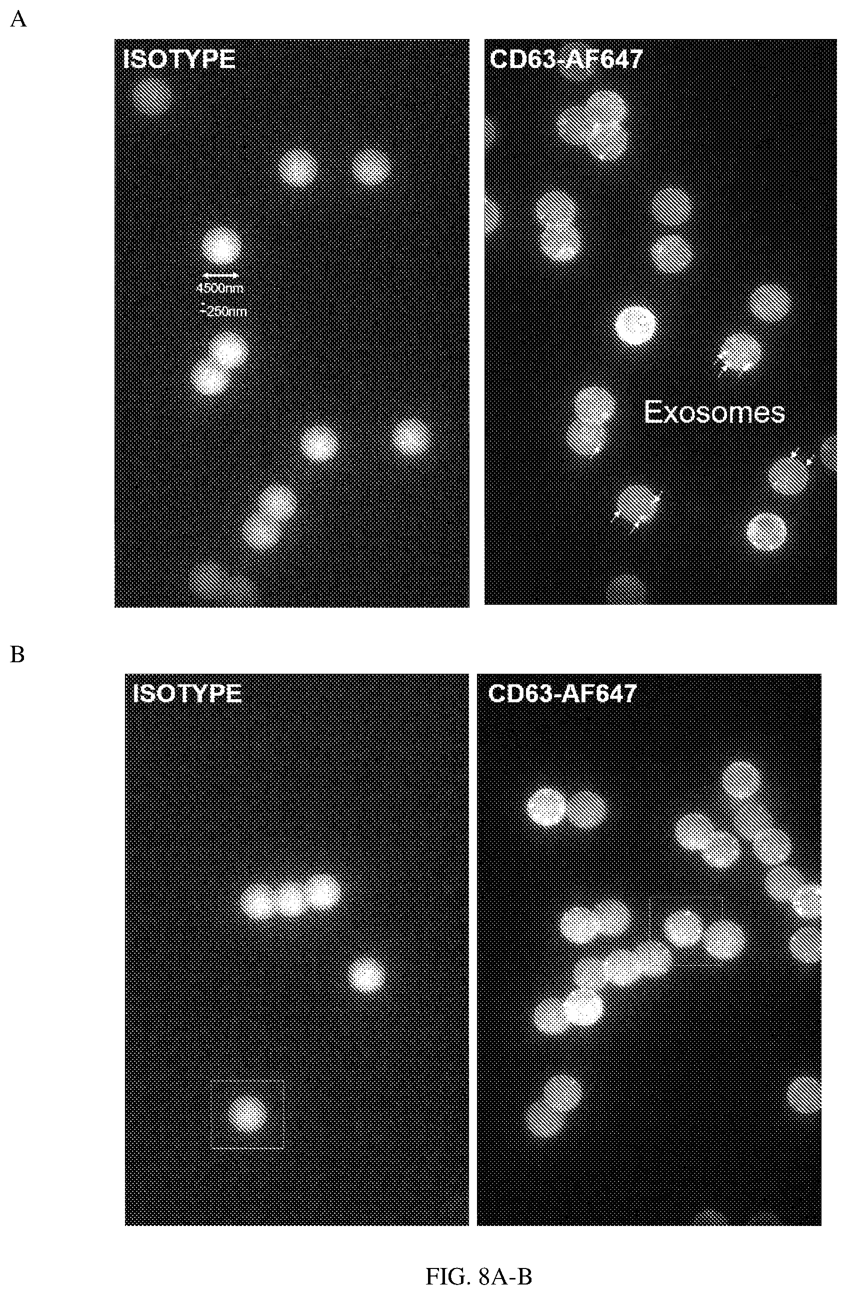 Patent US12613238 Figure 9 – Diagnostic and prognostic utility of exosomes in immunotherapy