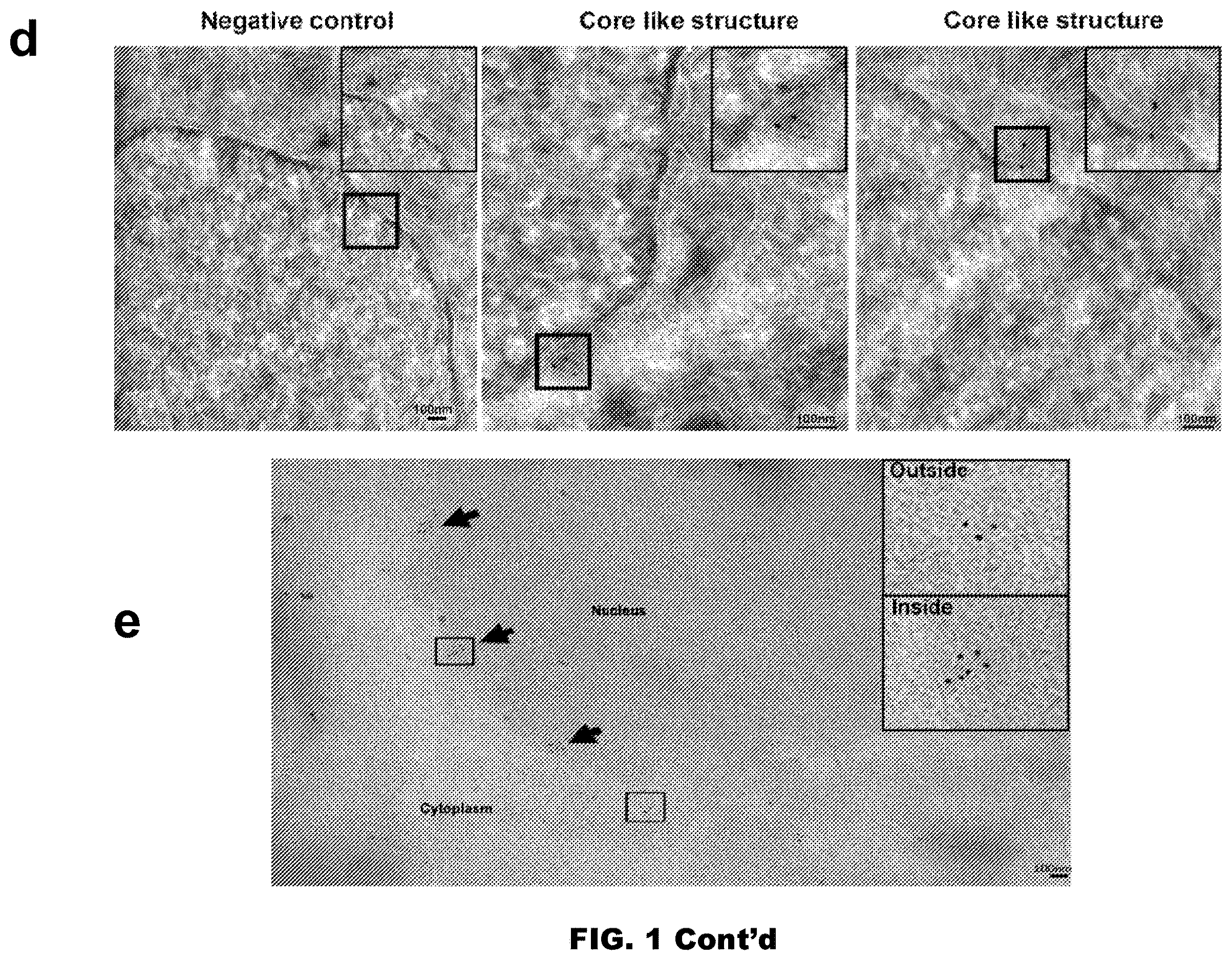 Patent US12613239 Figure 2 – Live imaging system to visualize the retro-transcribed viral DNA genome