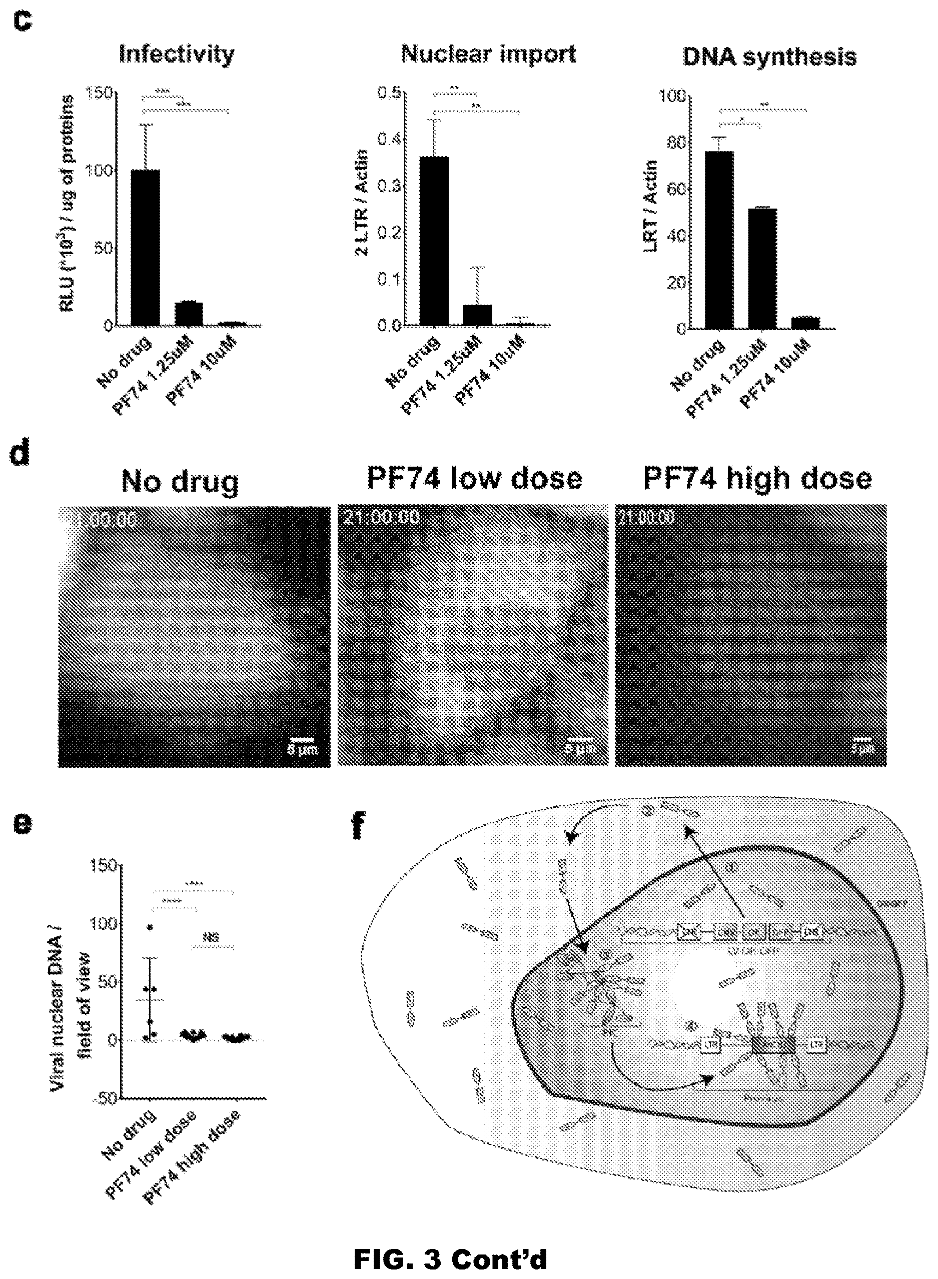 Patent US12613239 Figure 7 – Live imaging system to visualize the retro-transcribed viral DNA genome